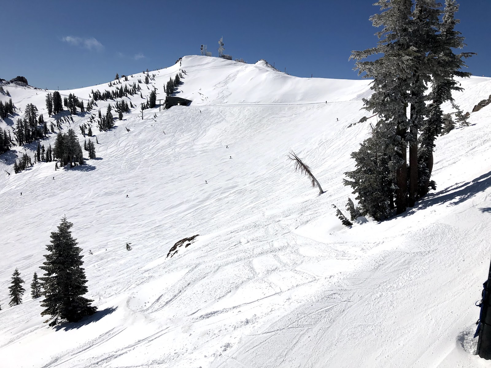 Sierra Nevada snow covered forest and slopes