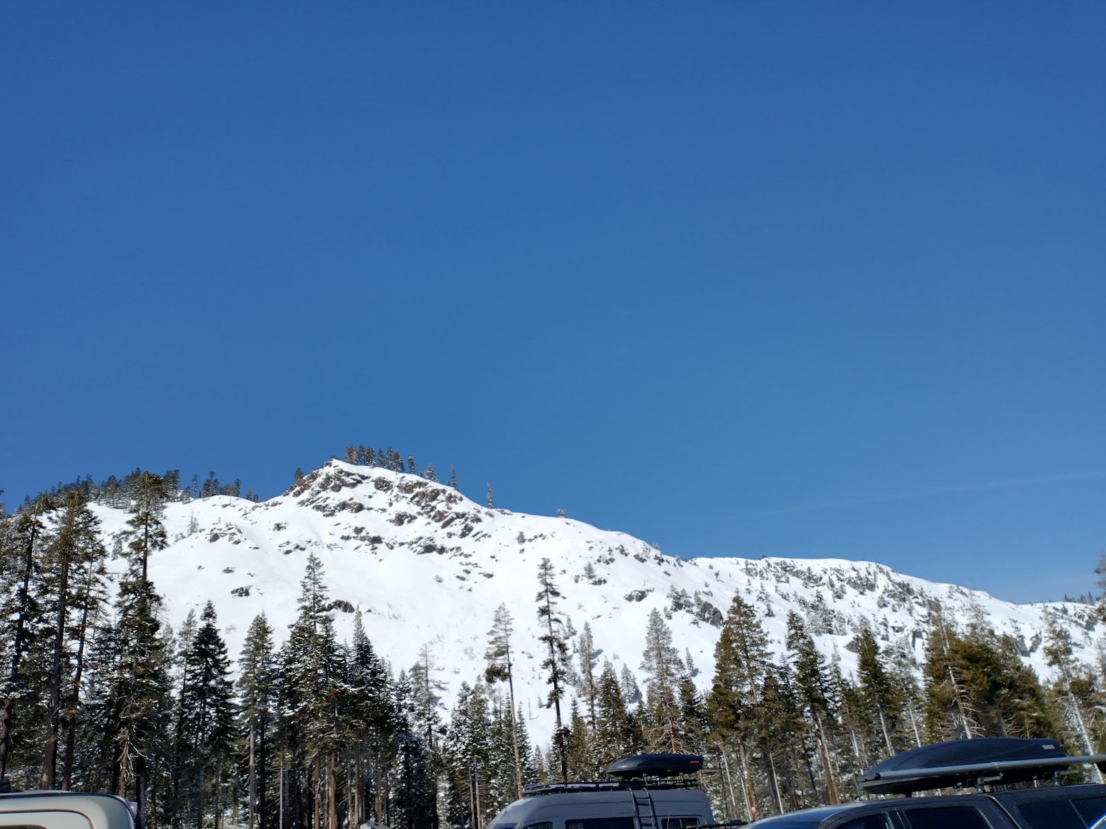 Skier in deep Sierra powder on a sunny day