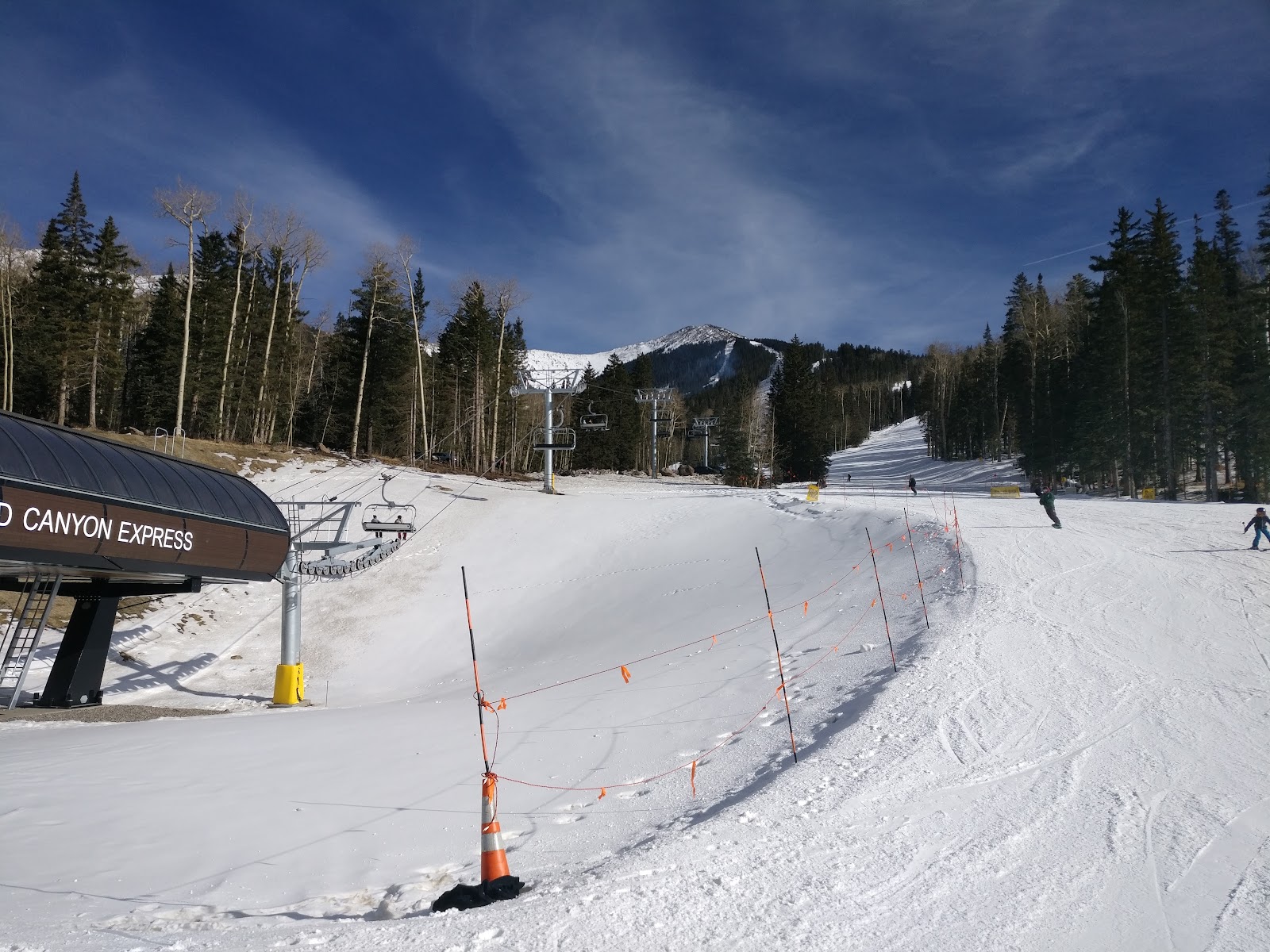 Chairlift climbing above ponderosa pines in winter