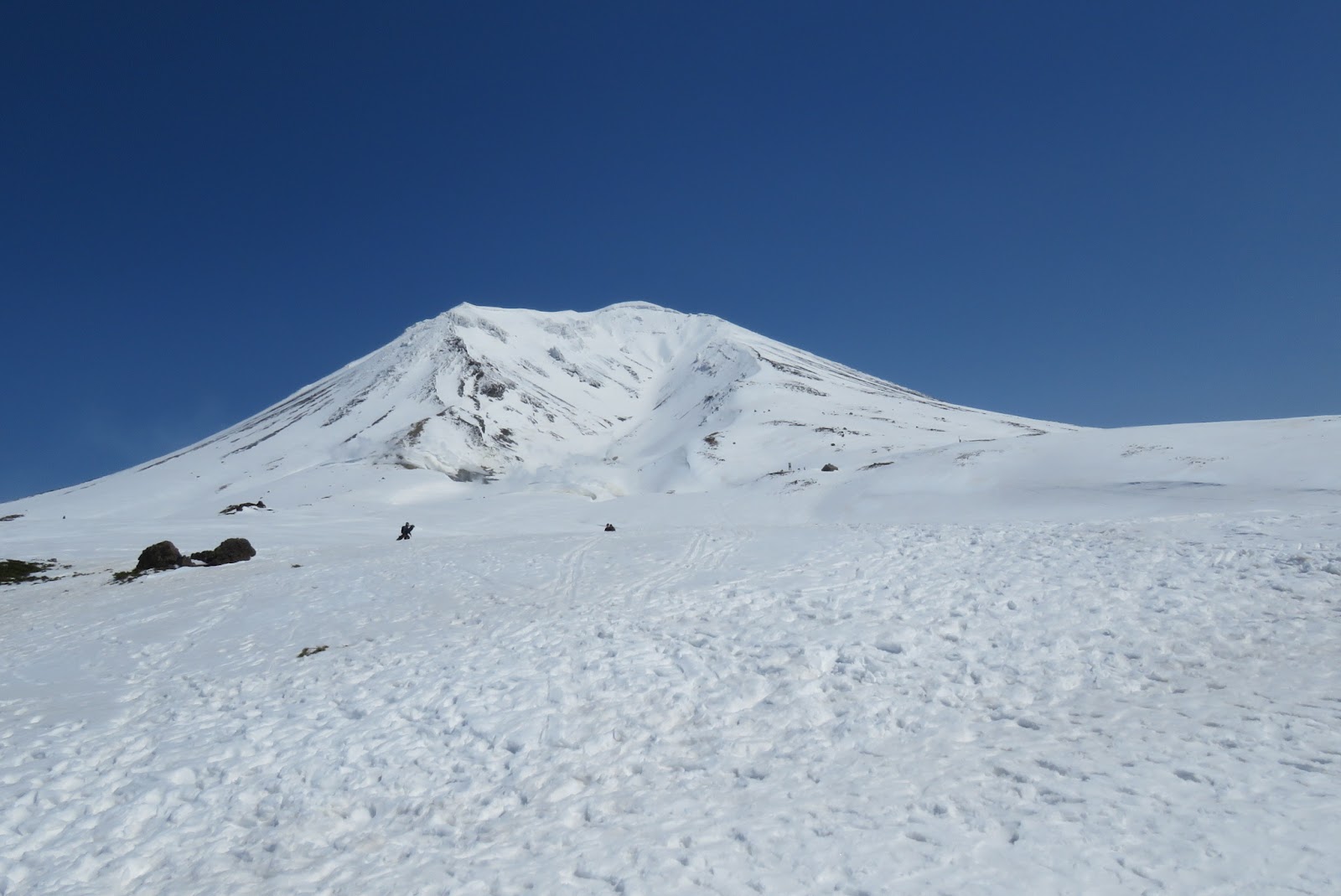 Skier making fresh tracks through deep dry powder in birch trees