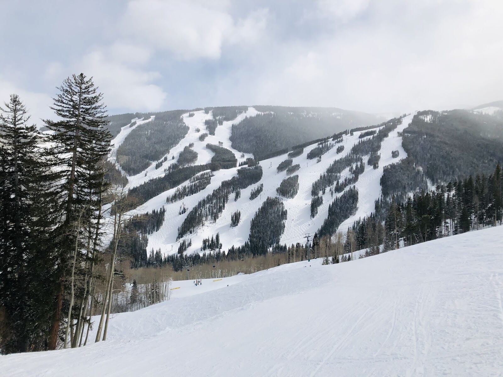 Wide groomed corduroy runs through pine trees at Beaver Creek