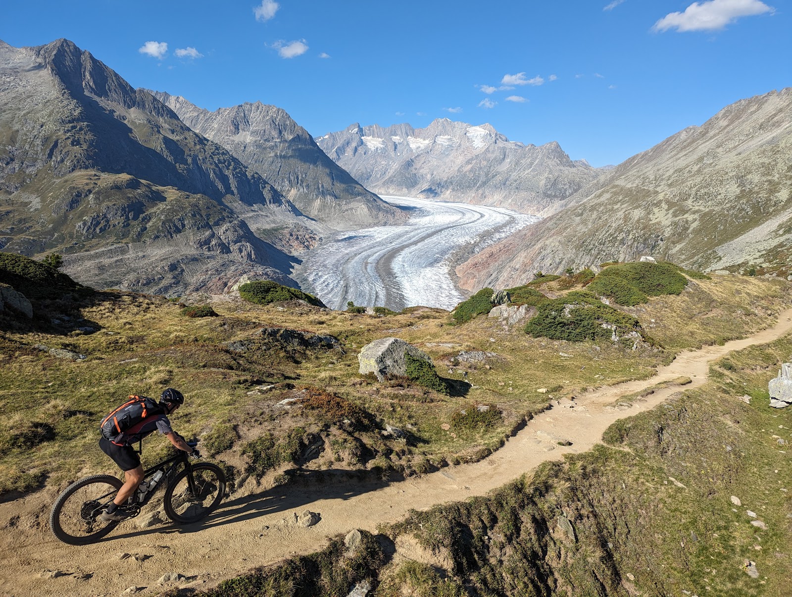 The great Aletsch glacier seen from the slopes above Bettmeralp