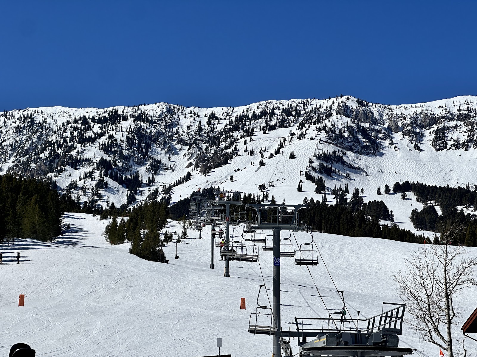 A skier looking out from a high snowy ridge