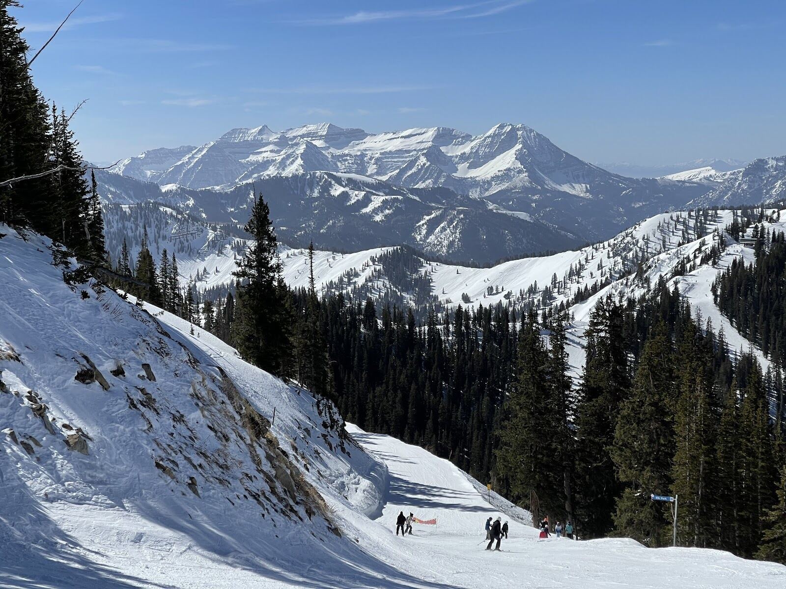 Powder turns through pines at Brighton in Big Cottonwood Canyon
