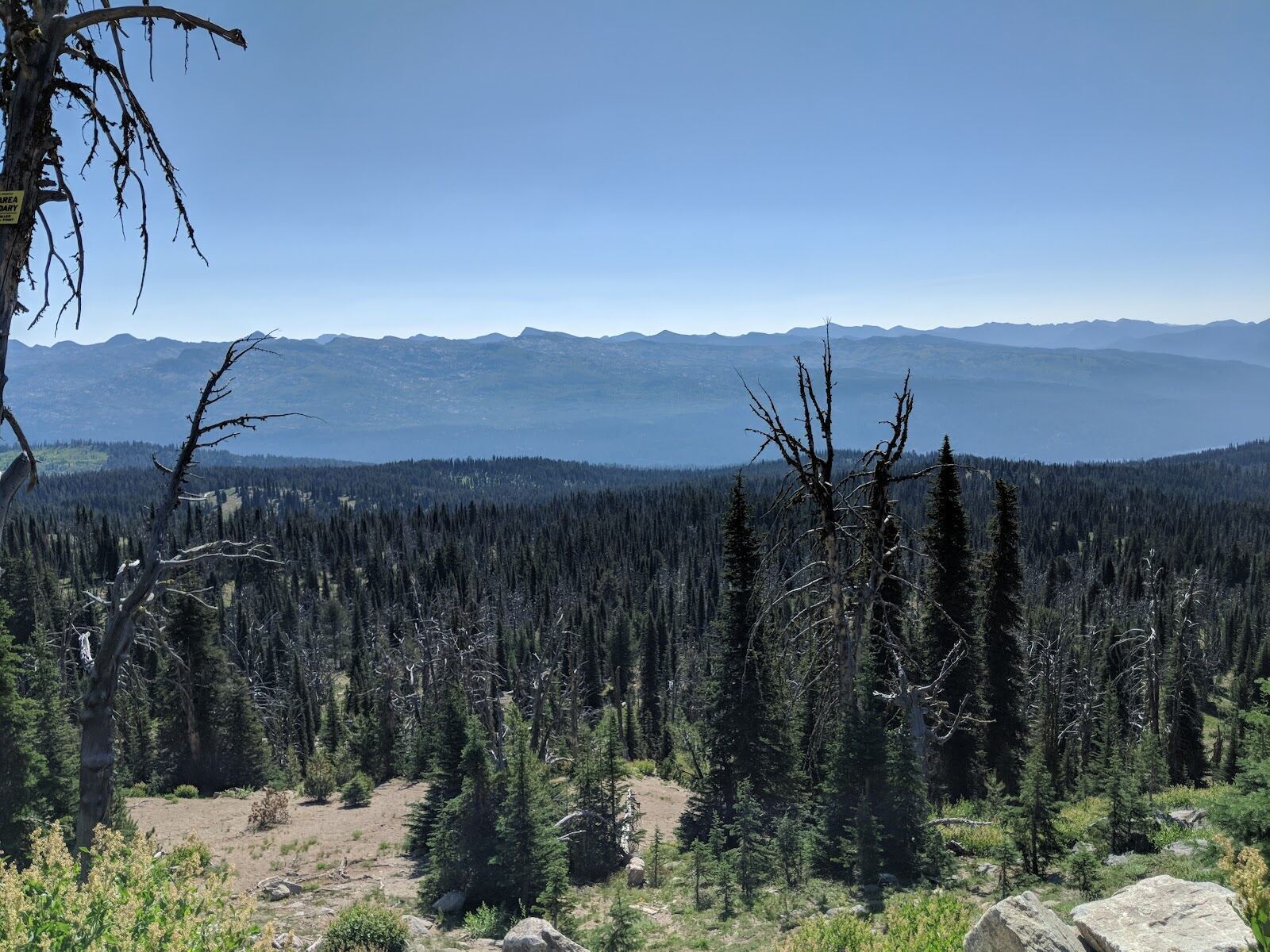 Snow covered summit and forest views from Brundage Mountain