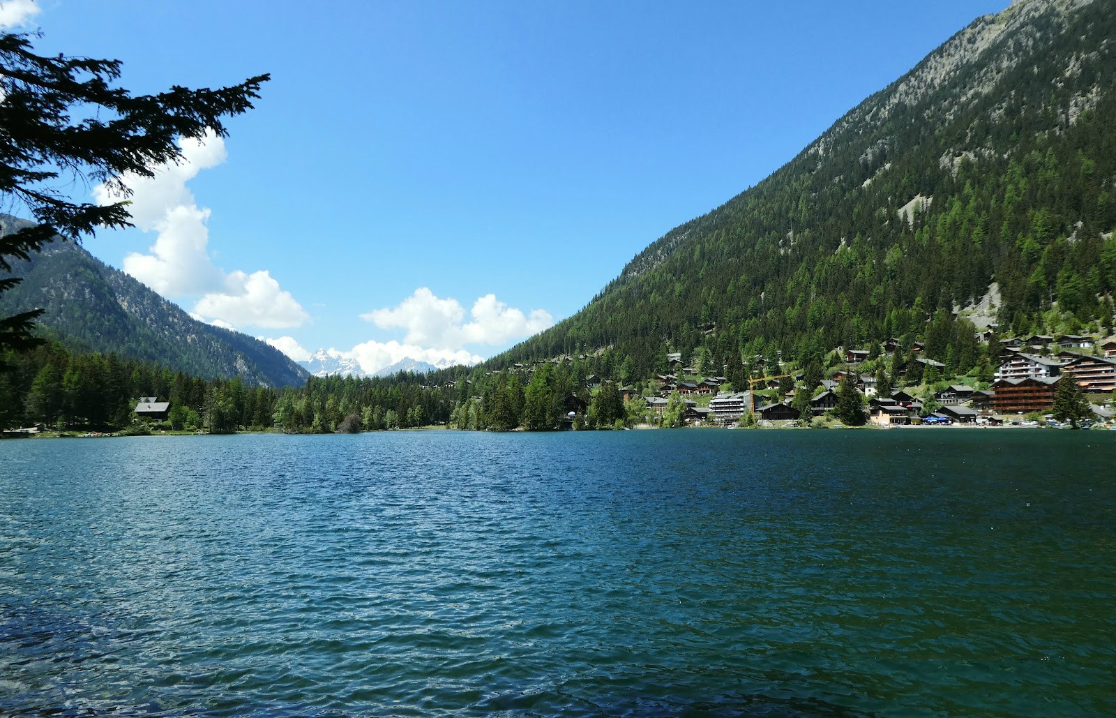 The frozen alpine lake at Champex Lac ringed by snowy forest