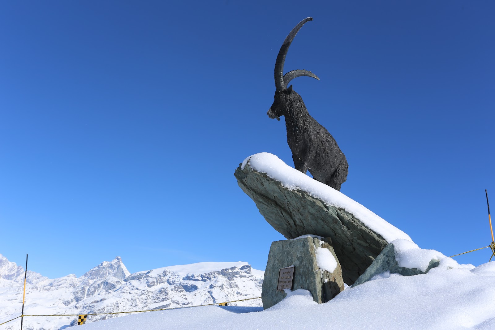 Snow covered forest and long pistes across the Monterosa Ski valleys