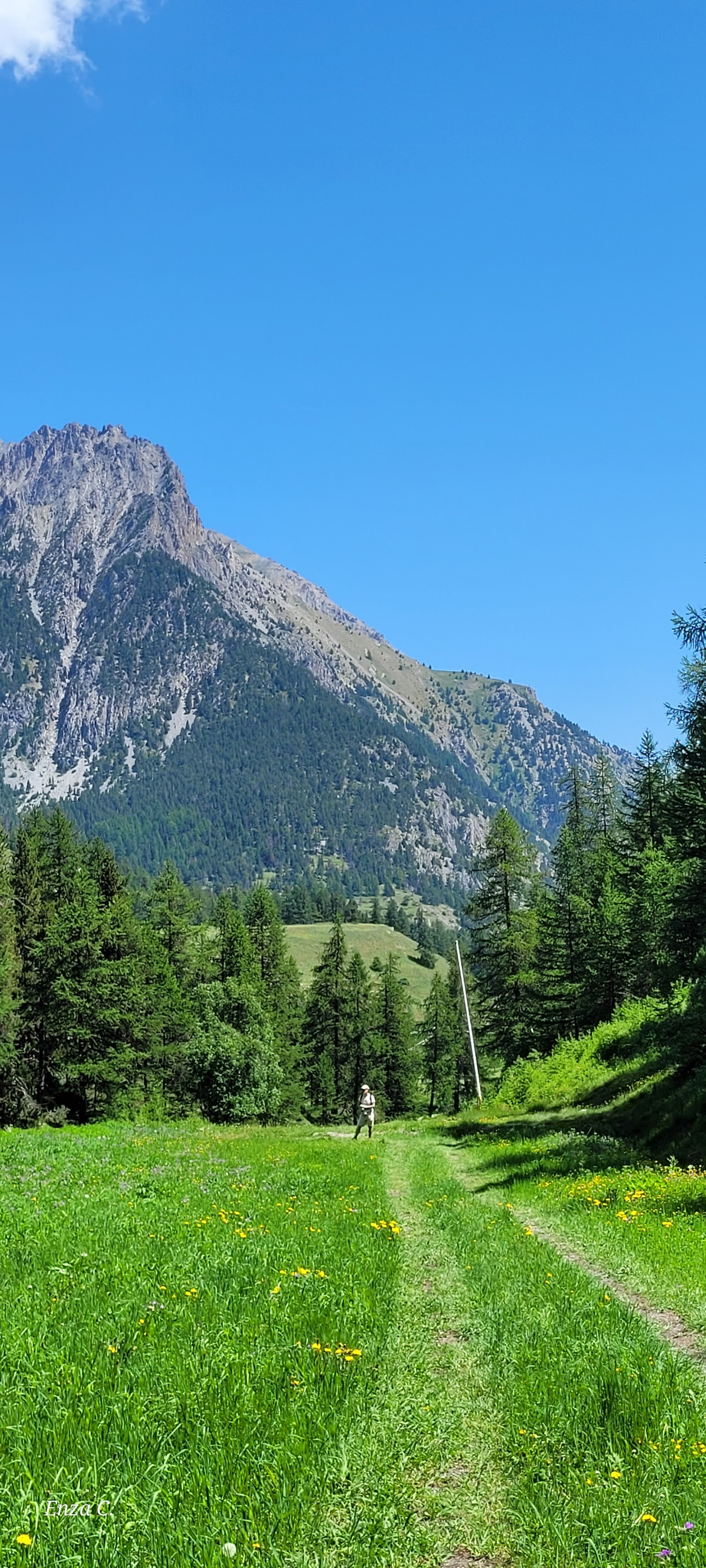 Sunny alpine ski piste panorama under blue sky