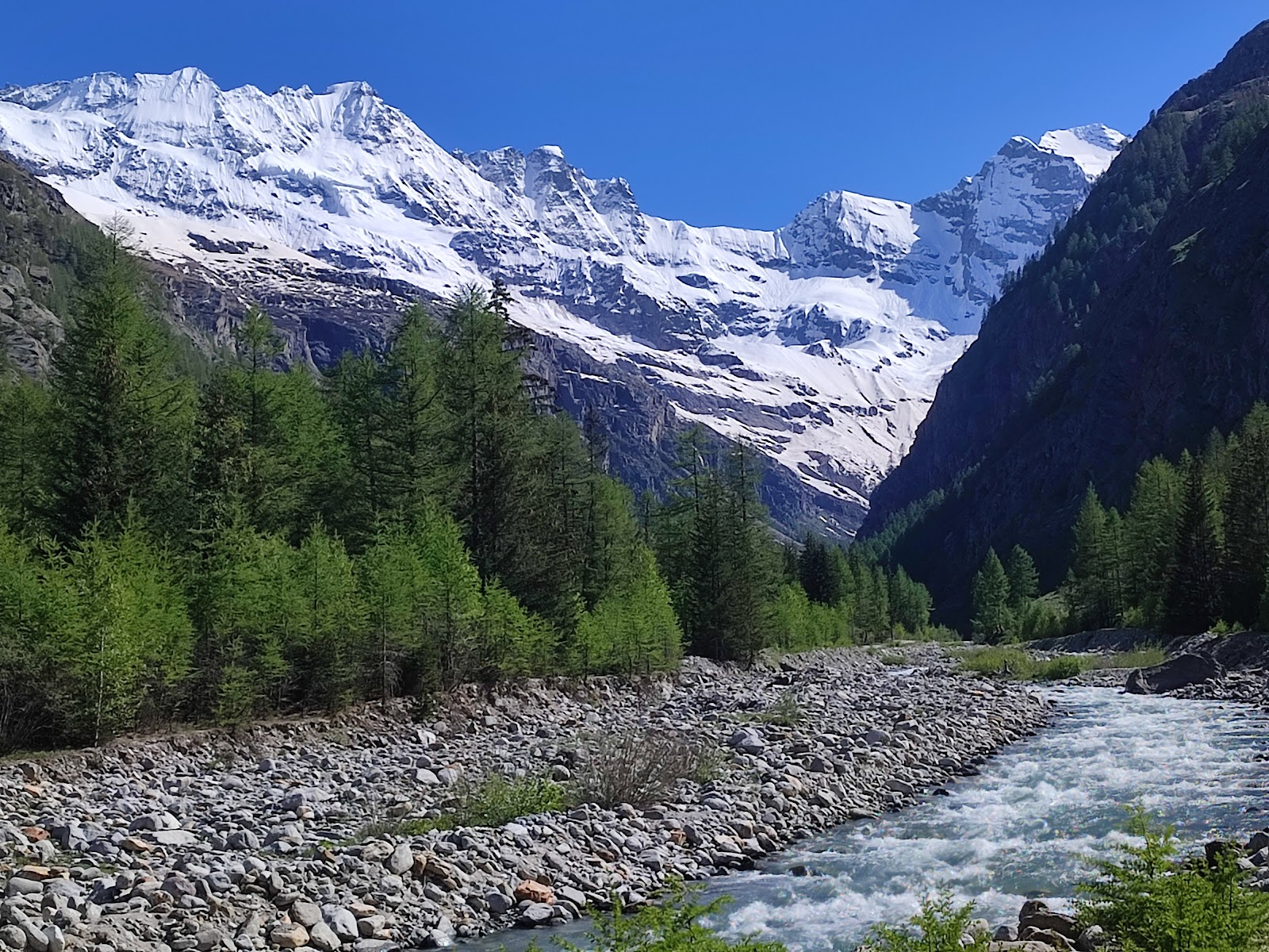 Snow laden forest and quiet trails near Cogne at the gateway to the Gran Paradiso