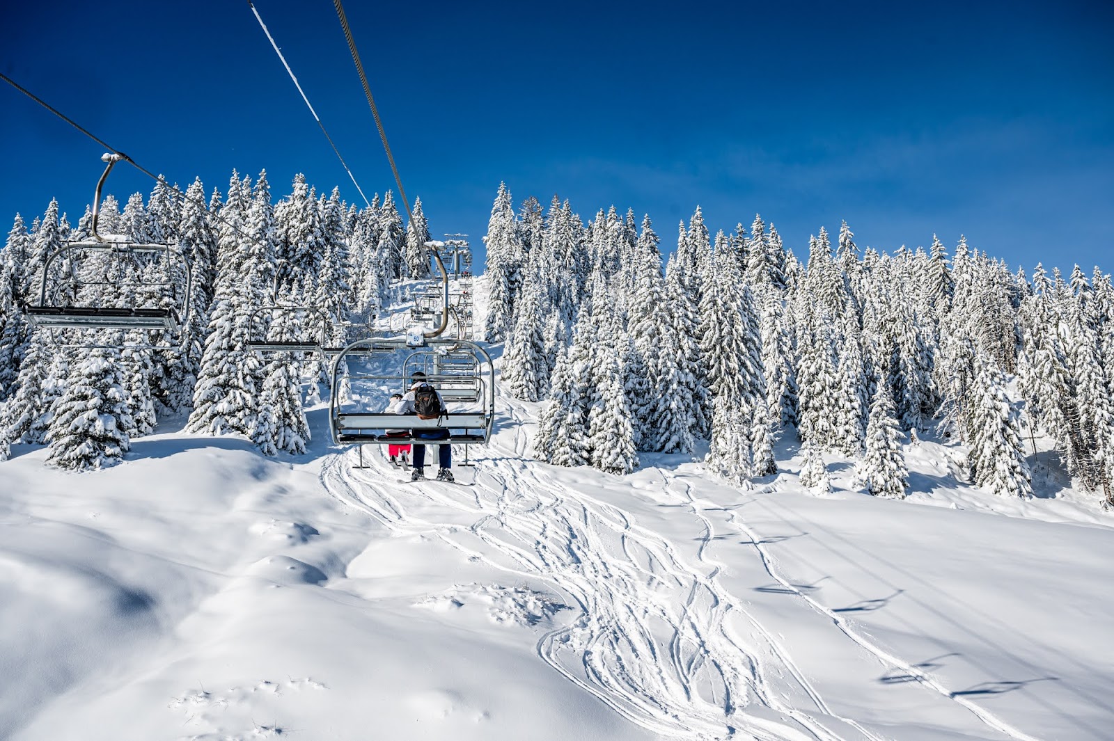 Skiers on tree lined runs with the Mont Blanc massif beyond Combloux