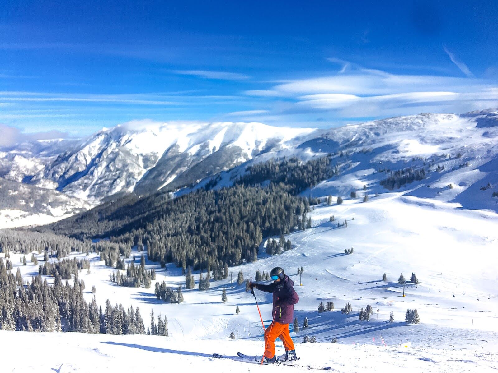 Powder filled trees on the back of Copper Mountain after a storm