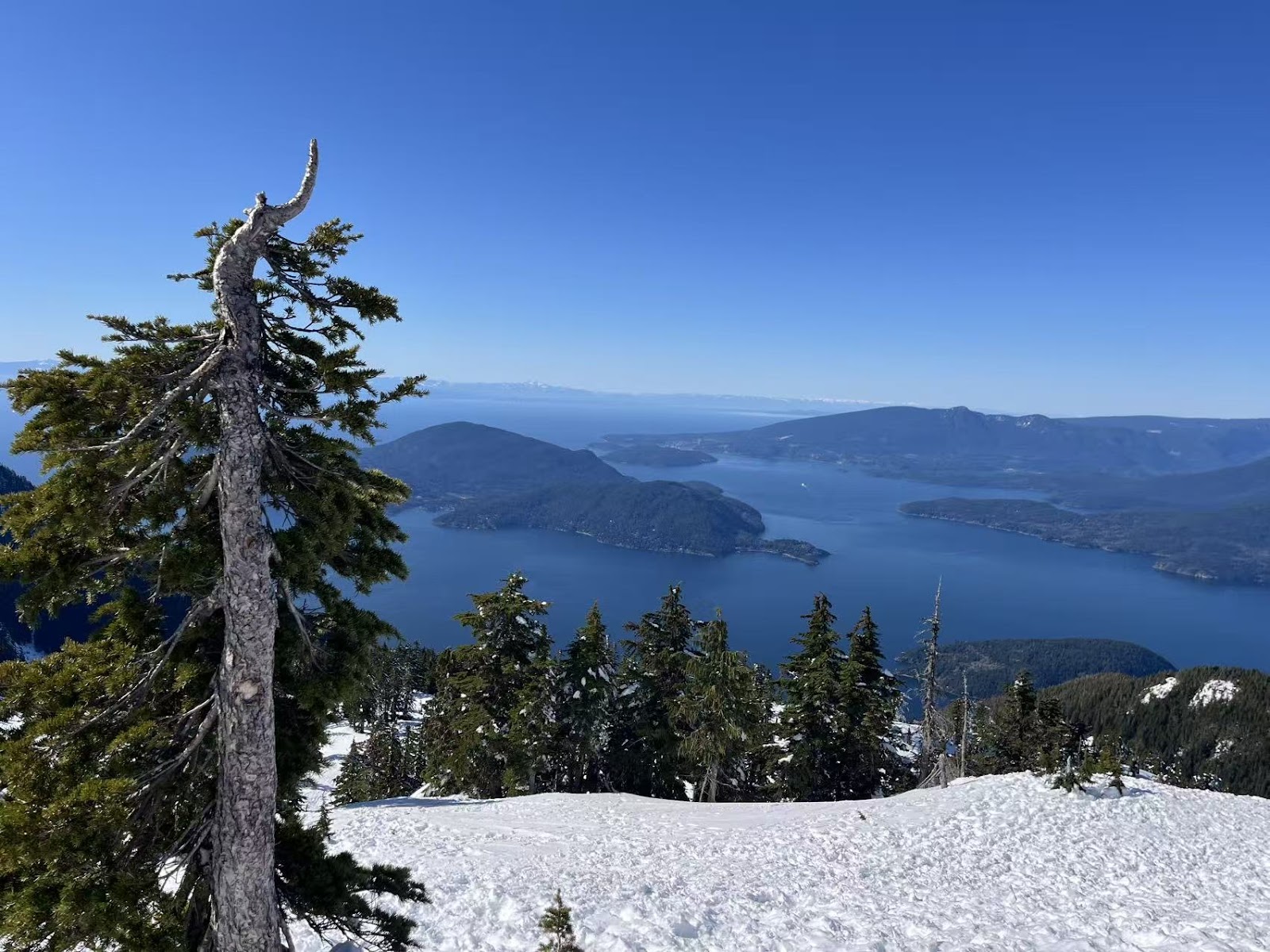 A chairlift on Cypress Mountain with coastal forest below