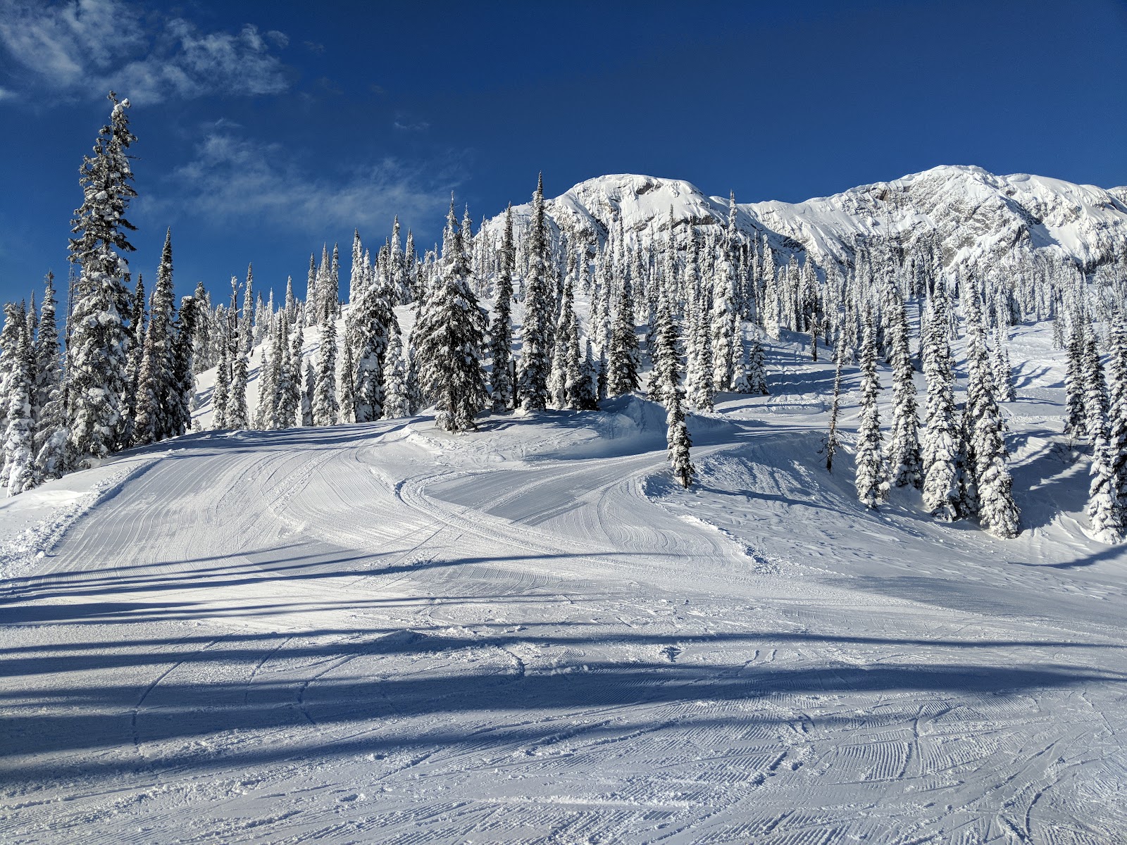 A snowy Canadian ski mountain and village under winter cloud at Fernie