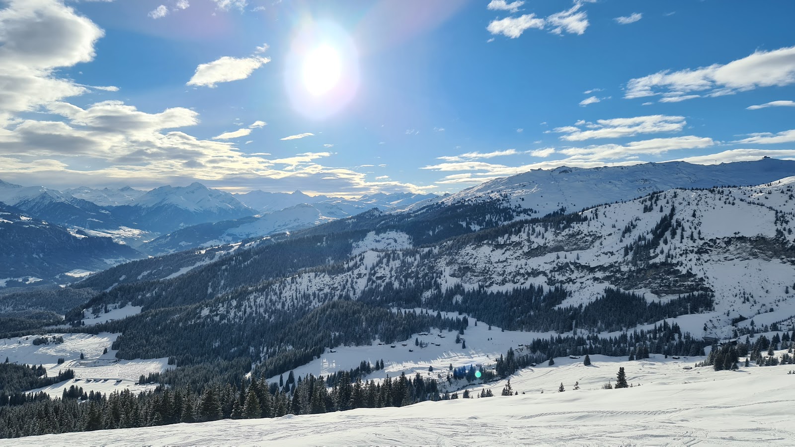 Snowy forests and chalets around Flims in the Surselva