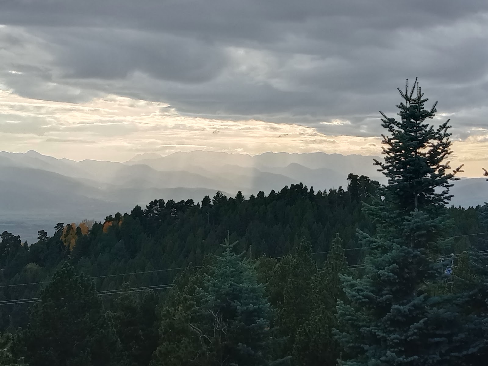 Pine forests and open snowfields above the Cerdagne