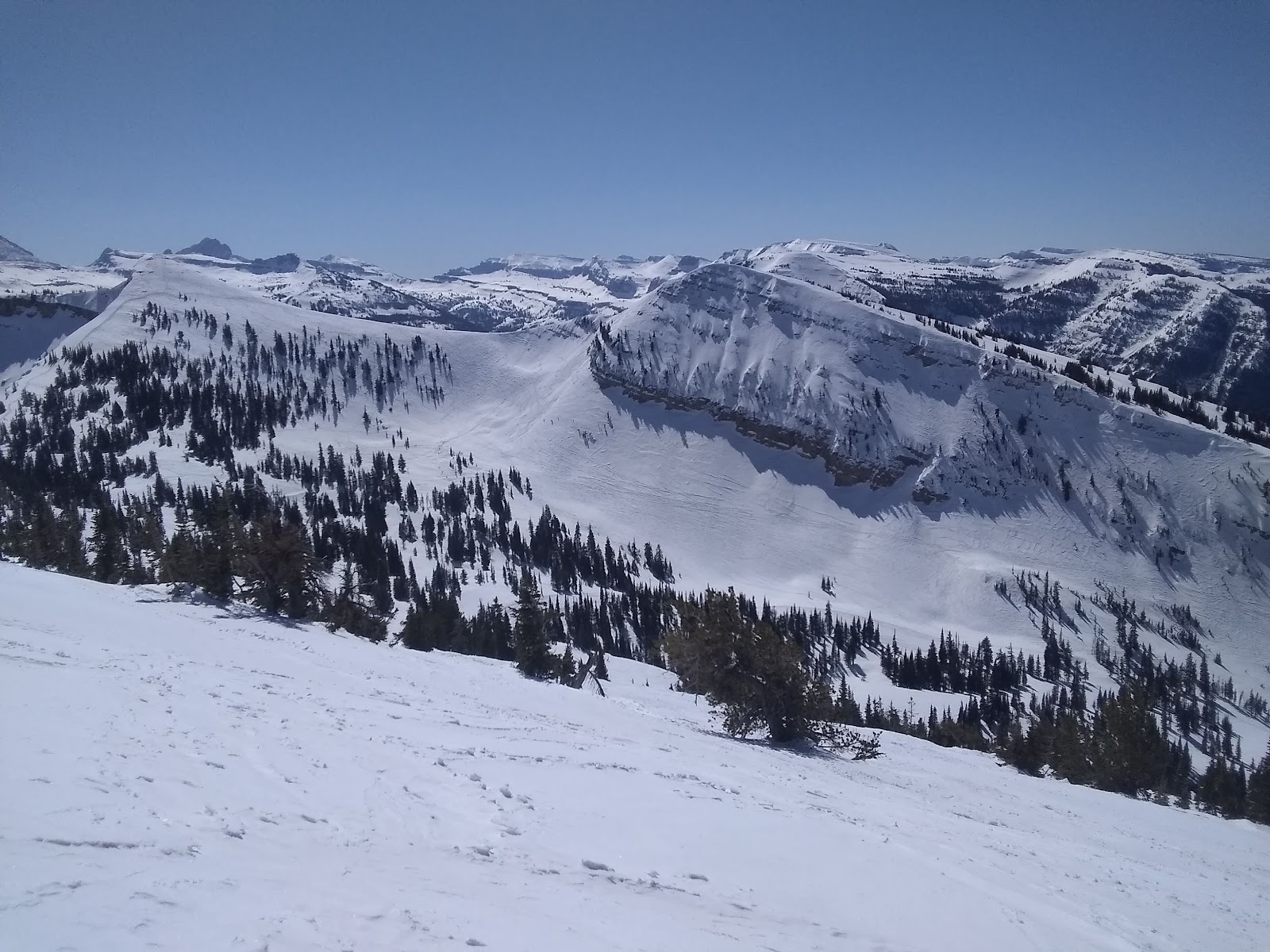 A skier floating through deep light dry powder in North America