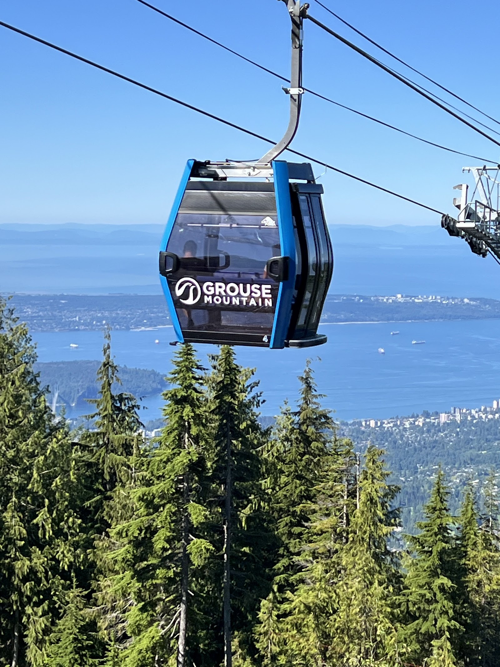 Gondola rising above forest toward a snowy city mountain