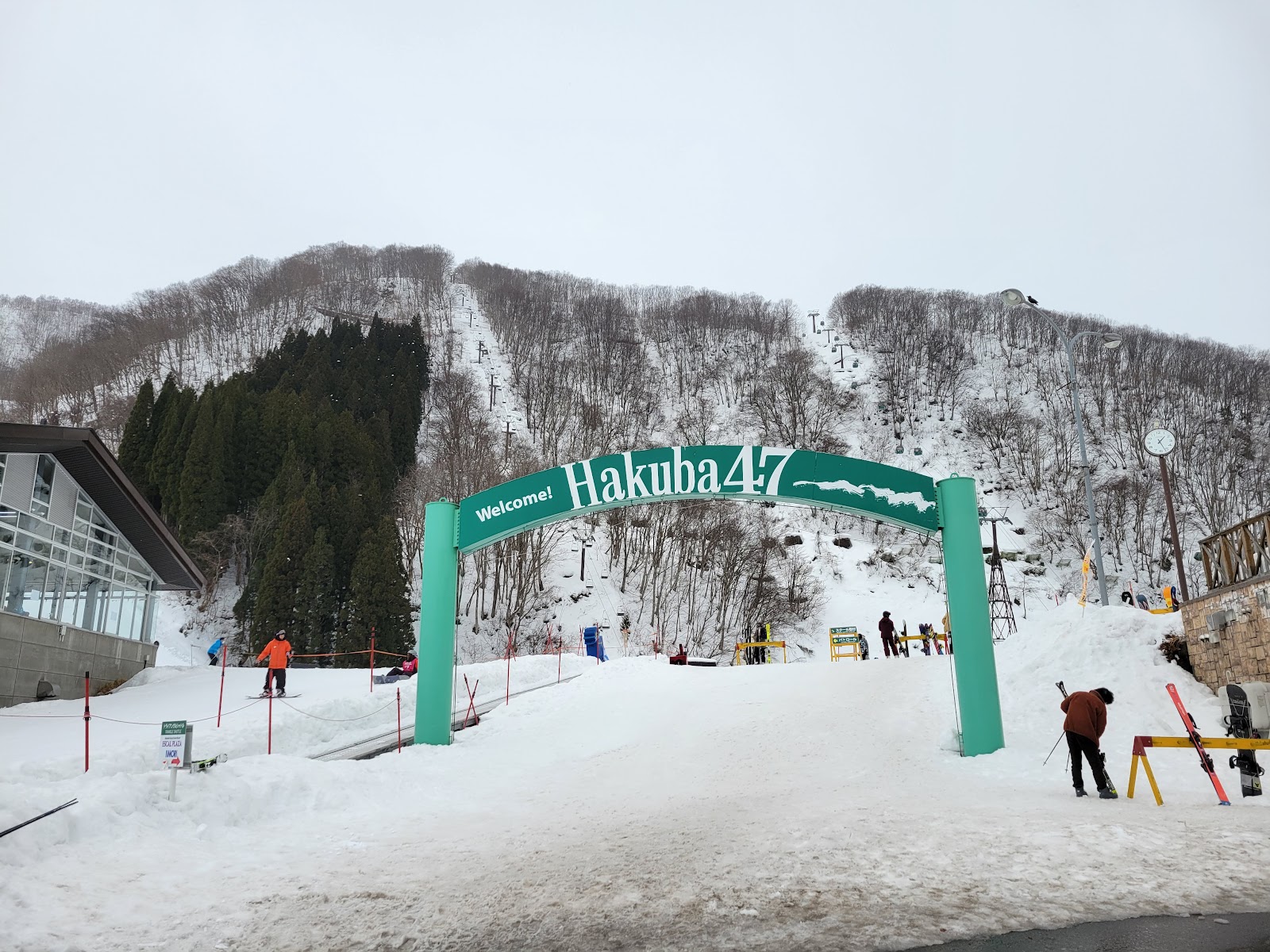 Snowy north facing slopes and trees at Hakuba 47 in Nagano Japan