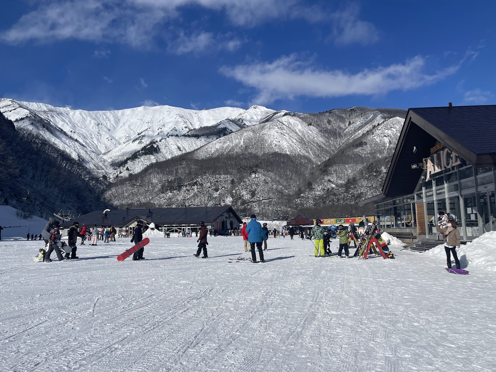 The terrain park with jumps and rails at Hakuba 47