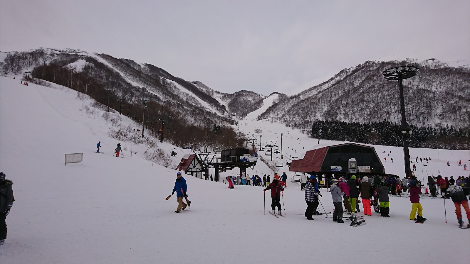 A skier in deep powder among birch trees at Hakuba Cortina