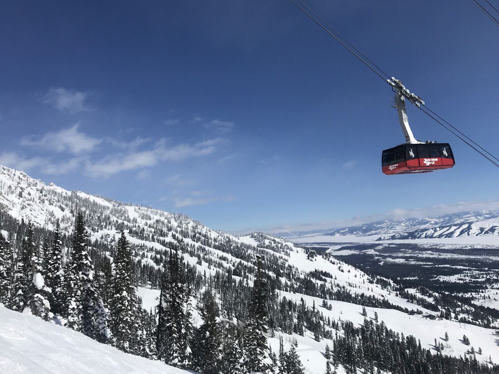 The aerial tram climbing above Jackson Hole