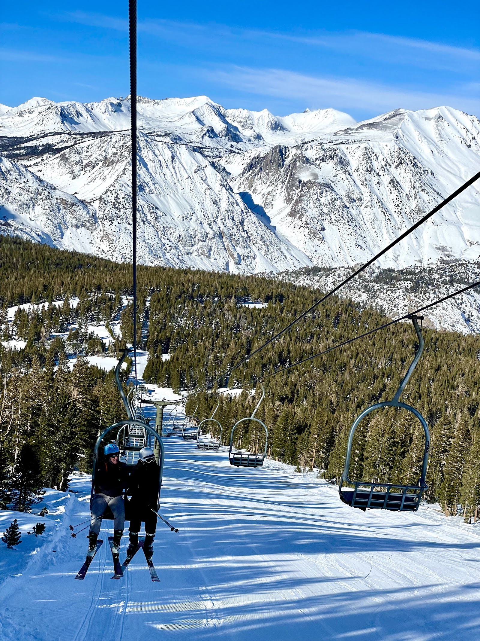 Tree skiing in soft snow at June Mountain