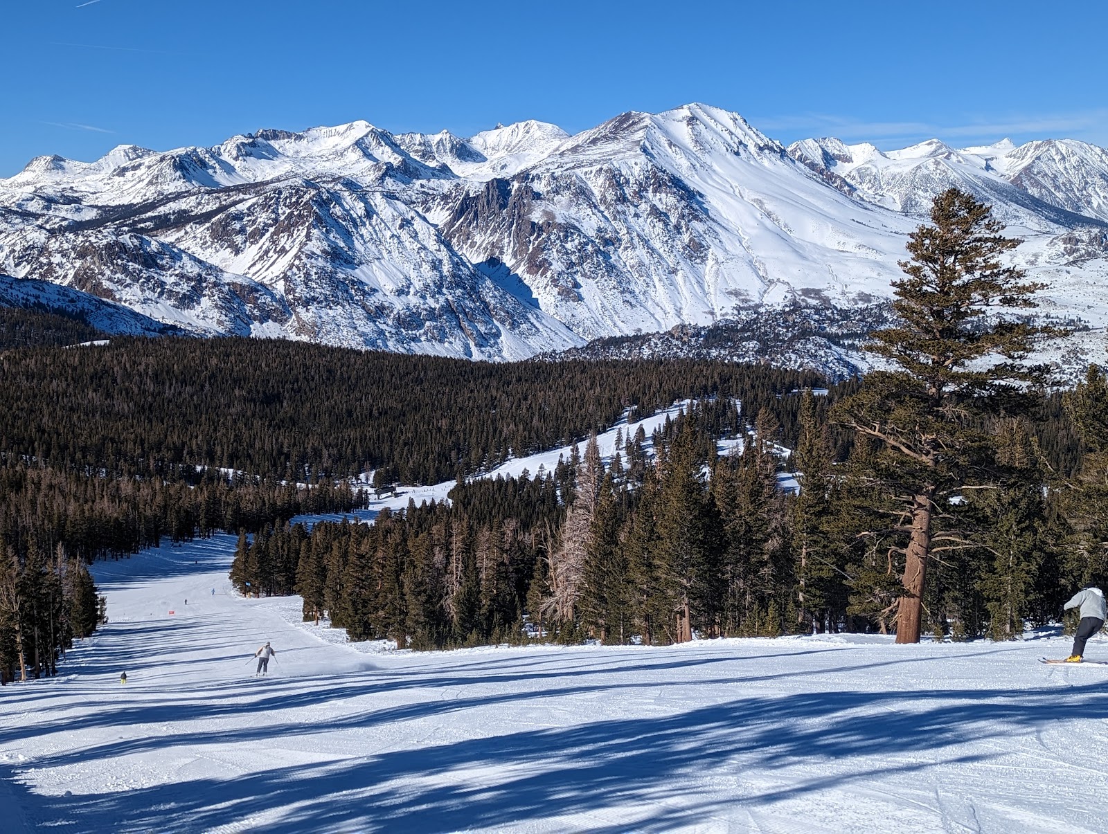A view over June Lake from the slopes of June Mountain