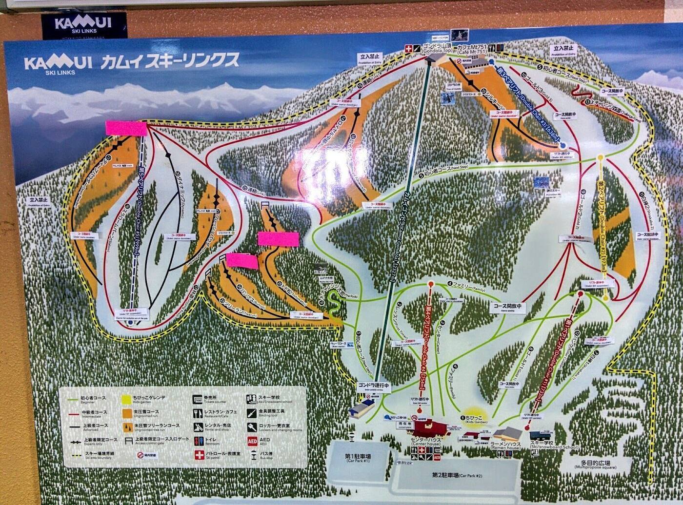 Light dry powder and snowy trees on the quiet slopes of Kamui Ski Links Hokkaido