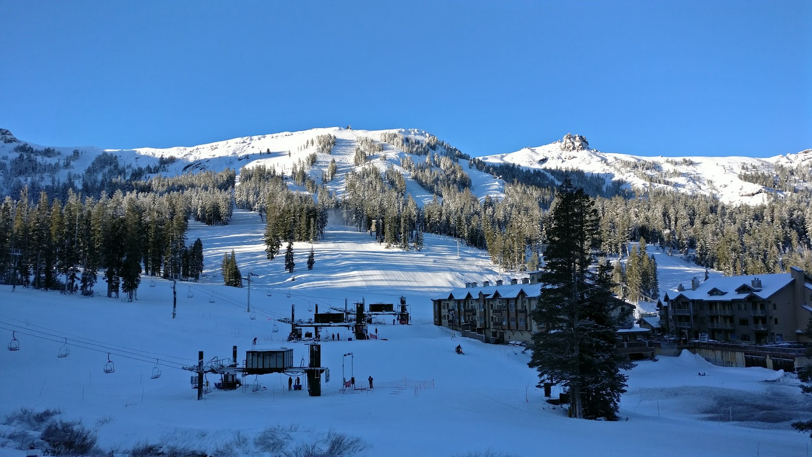 Snow laden Sierra Nevada forest above Kirkwood