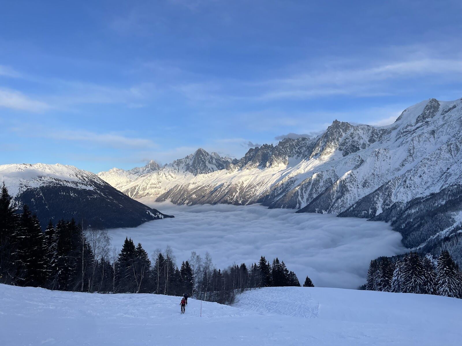Tree lined pistes above Les Houches under Mont Blanc