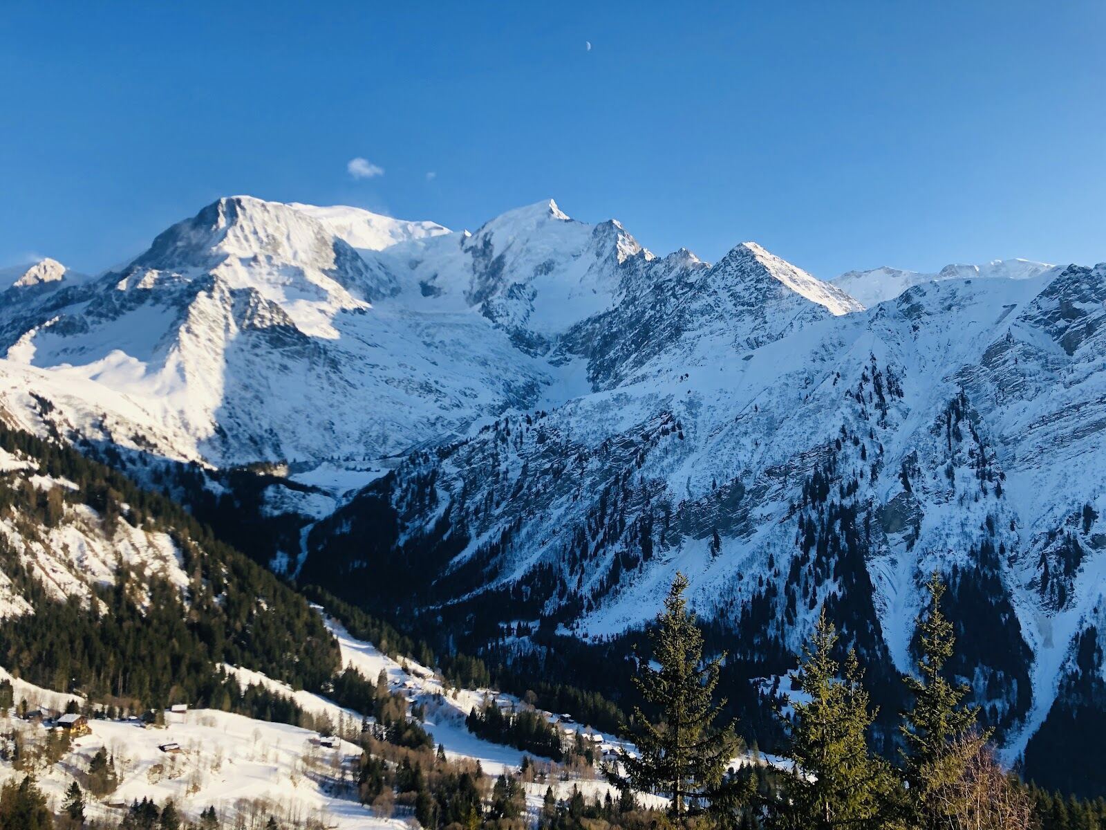 Snowy chalets and forest in the village of Les Houches