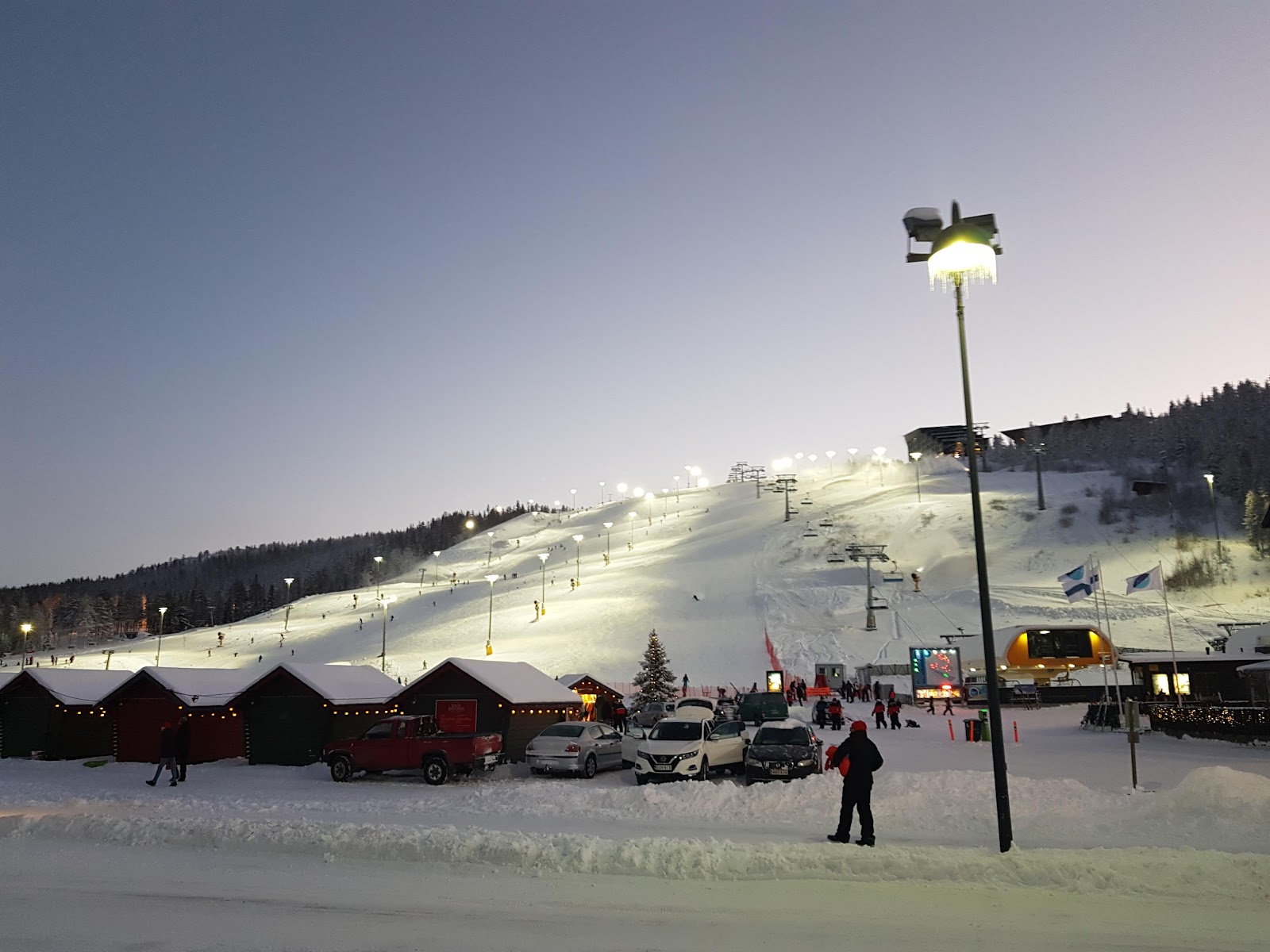 Skiers on gentle pistes at Levi with snow laden trees