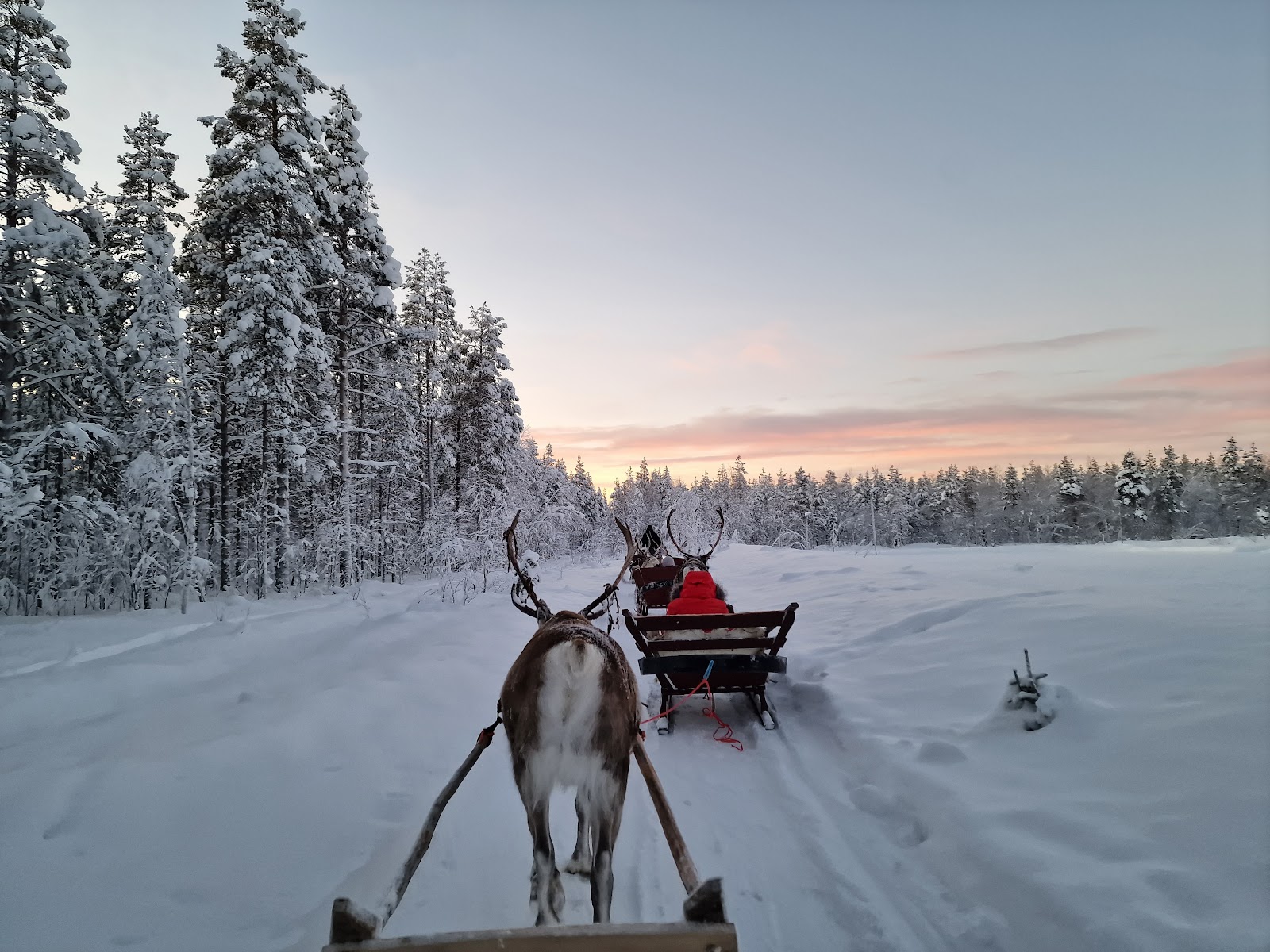 Snowy fell and Arctic dusk near Levi in Finland