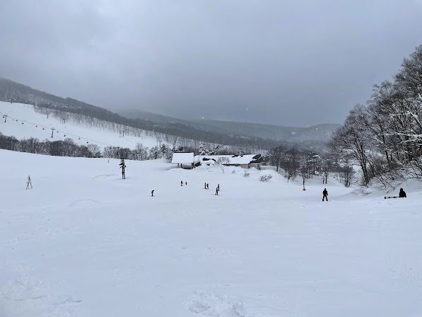 Deep fresh snow on the tree lined slopes at Madarao in Japan