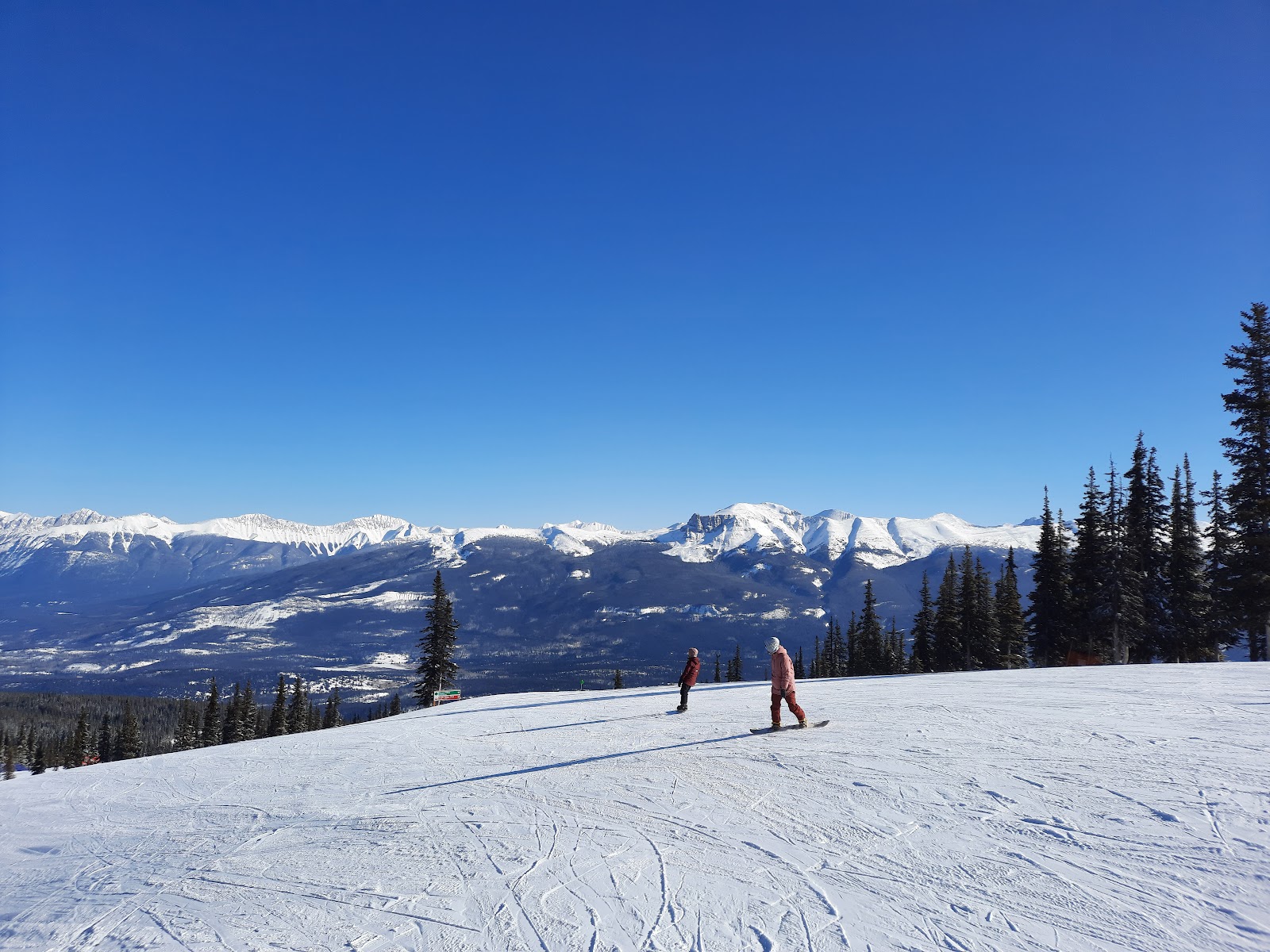 Open high alpine bowls at Marmot Basin in Jasper National Park