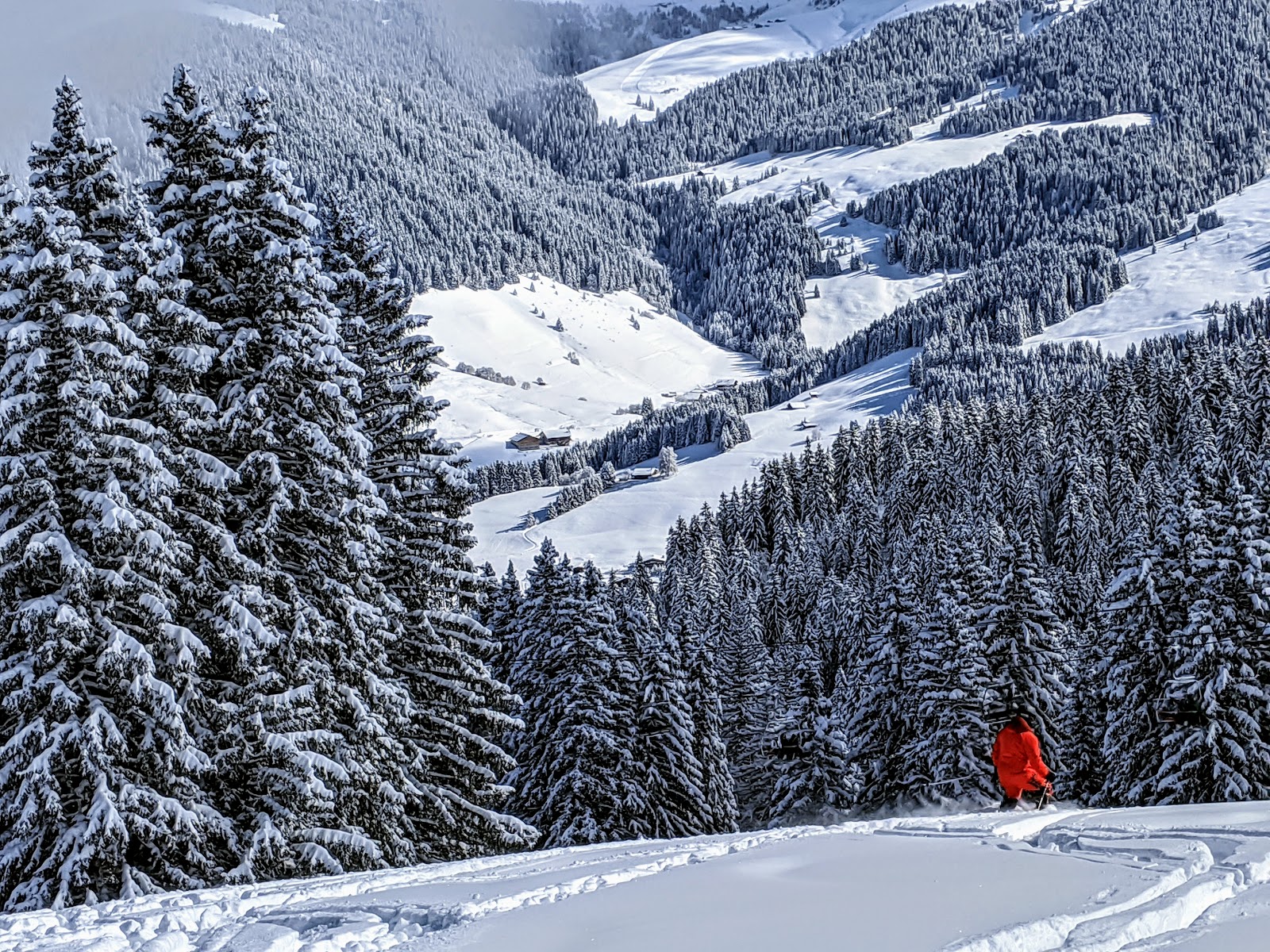A gentle tree lined cruising piste above Megeve