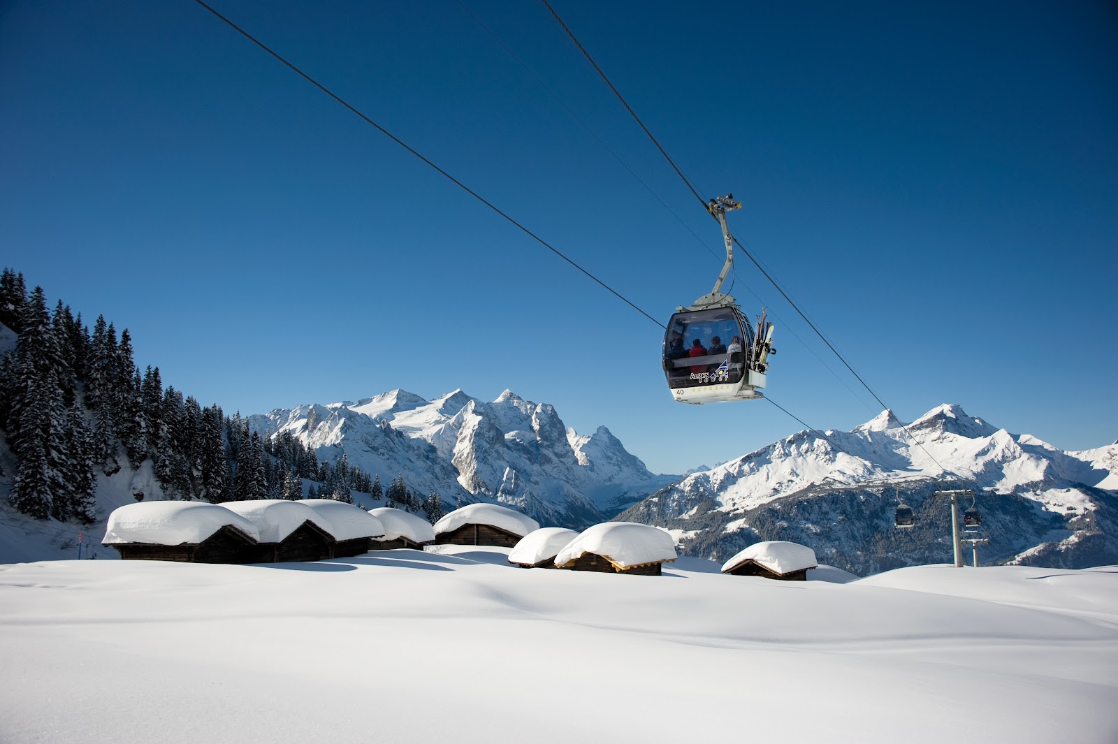 Snowy Bernese Oberland peaks above the Haslital valley