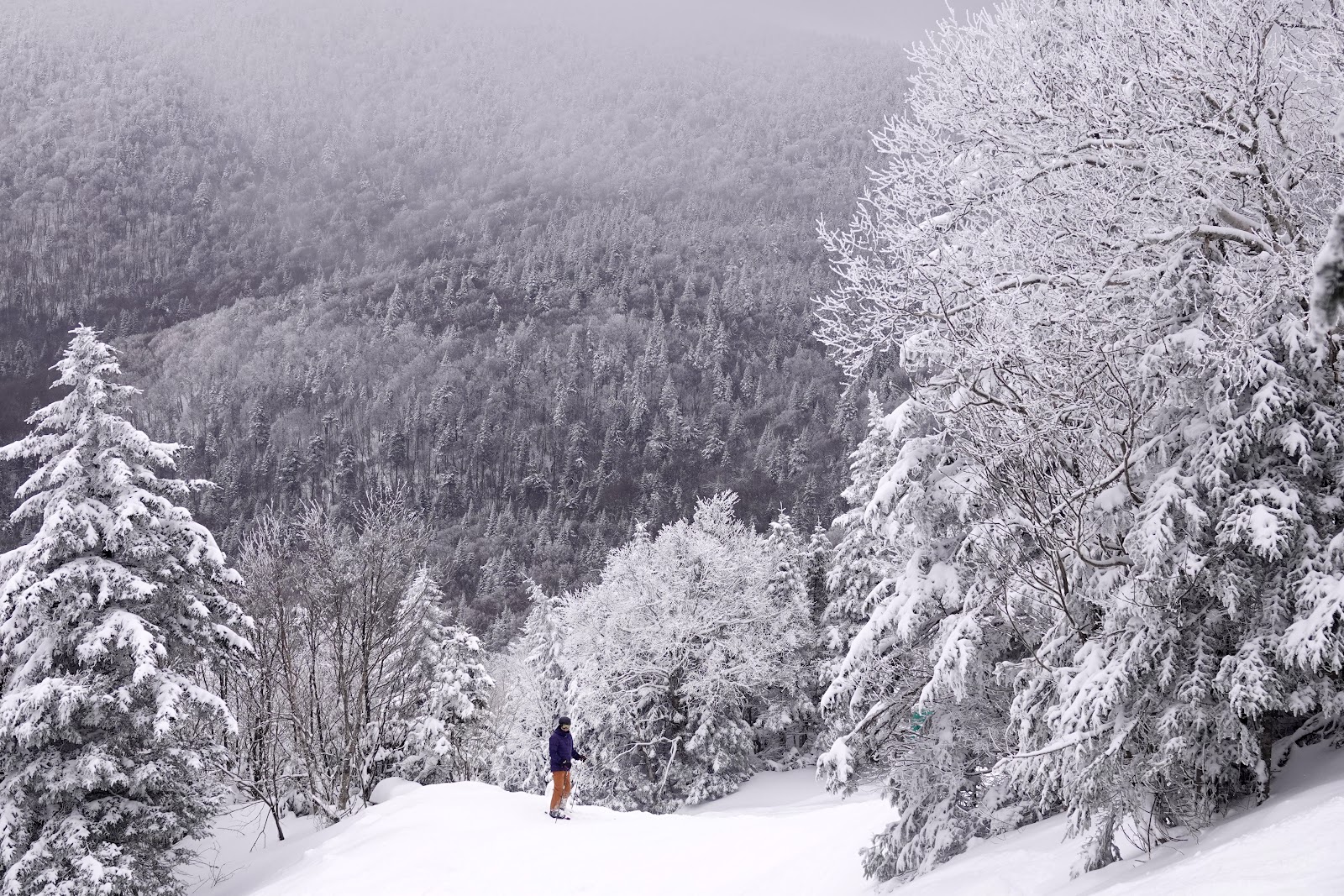Snowy base area and Eastern Townships hills at Mont Sutton