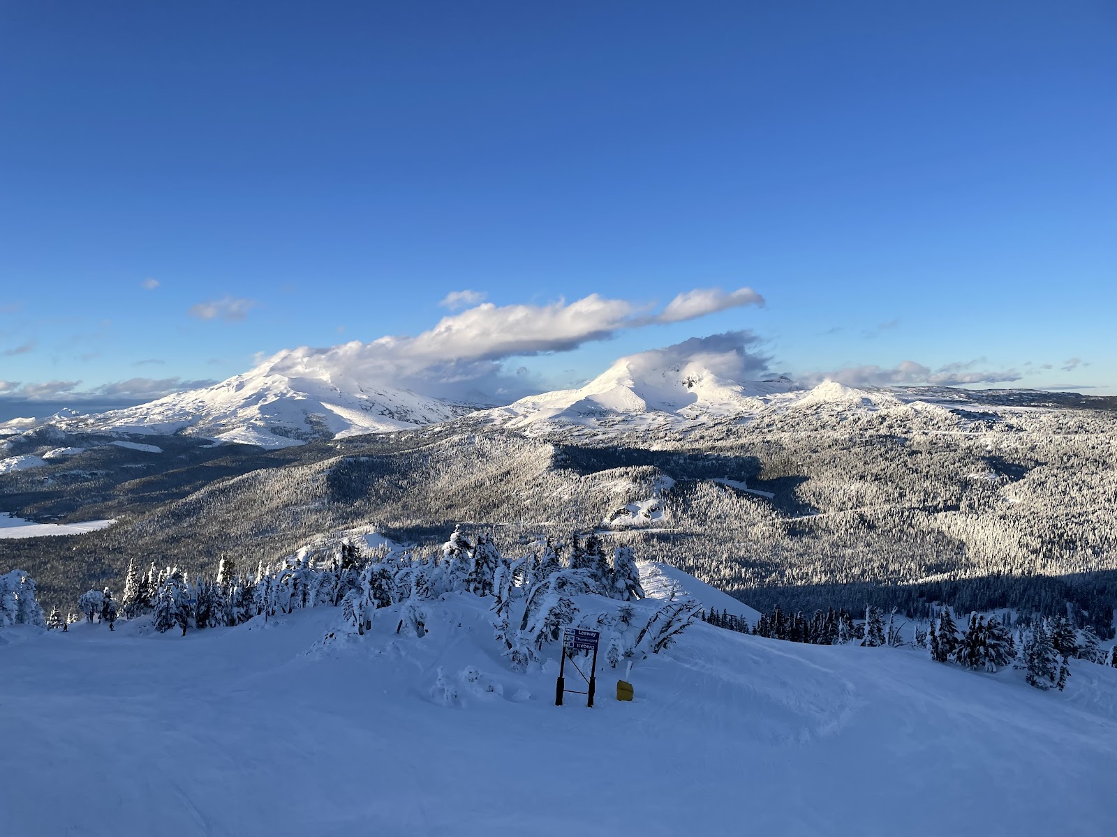 Cascade peaks and forest seen from Mount Bachelor in winter