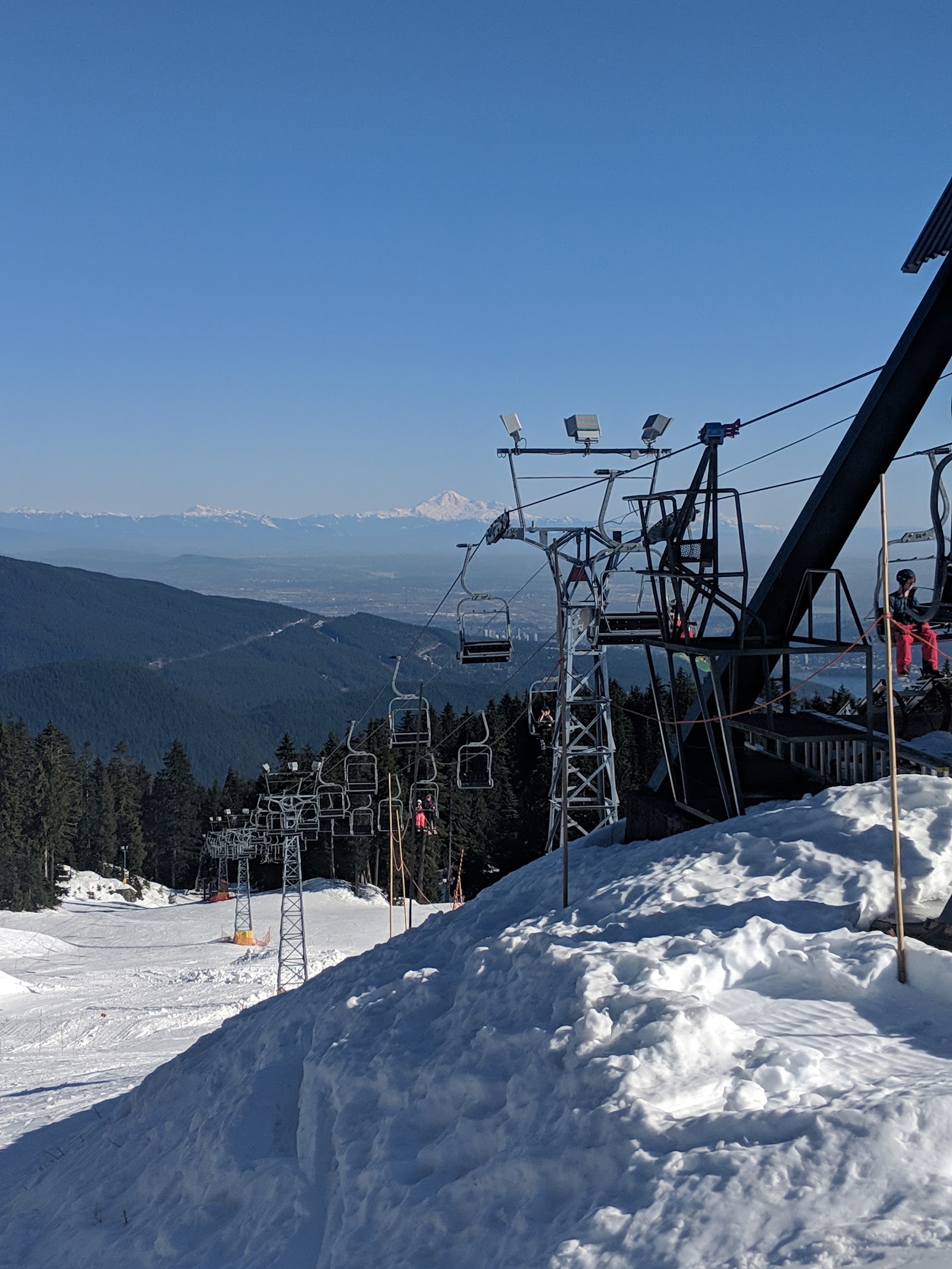 Gentle beginner slopes among the trees at Mount Seymour