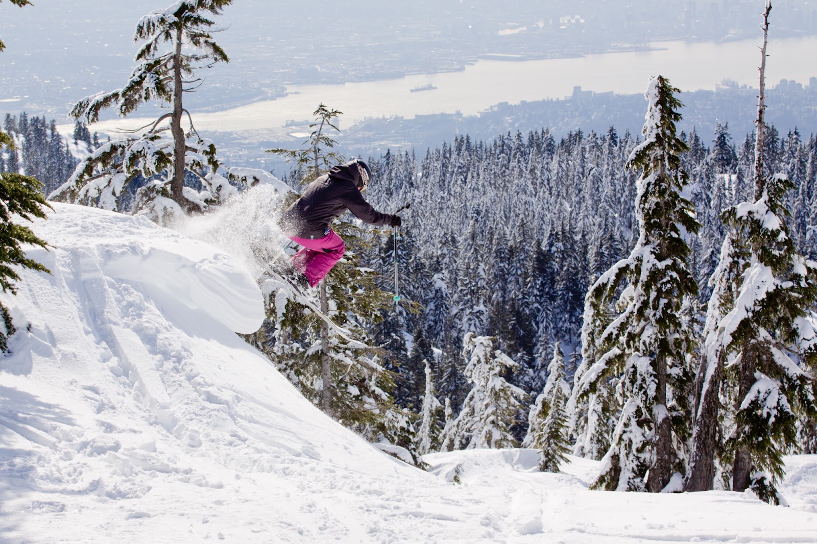 Forest and snowy slopes with city views from Mount Seymour