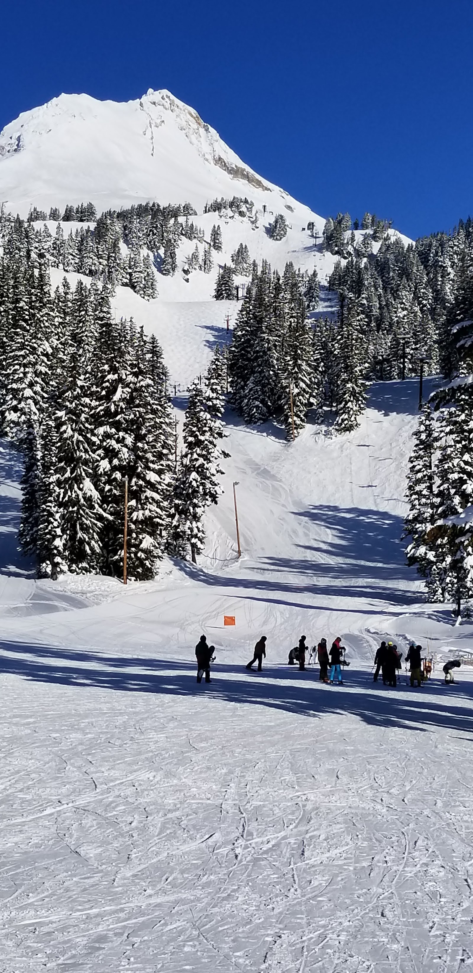 Snow covered slopes and lifts under cloud at Mt Hood Meadows