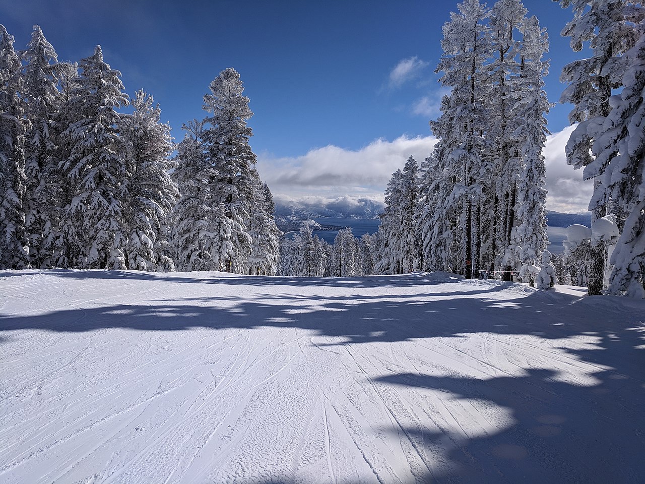 Groomed blue runs winding through the trees at Northstar