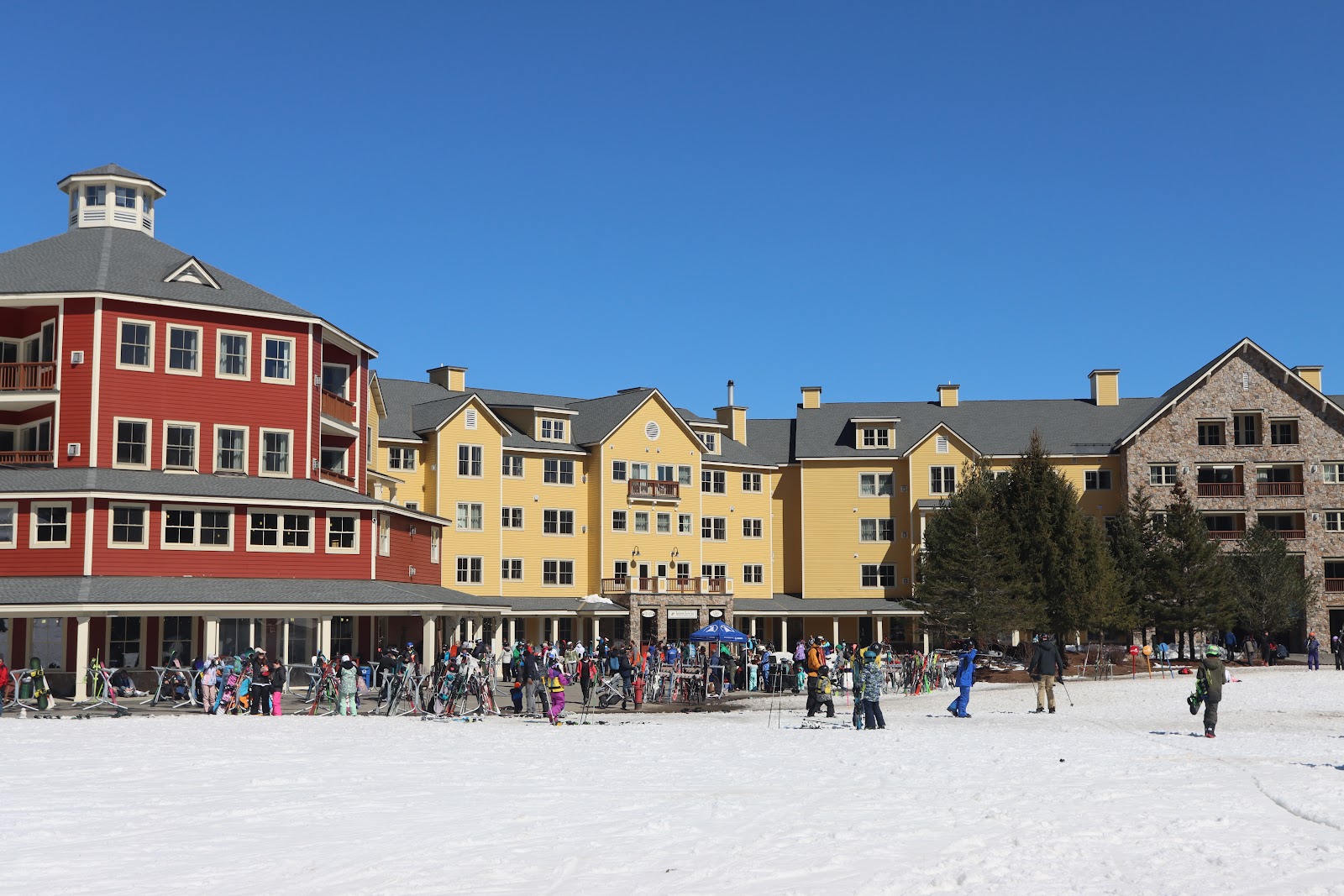 Well groomed pistes and trees at Okemo Mountain in Vermont
