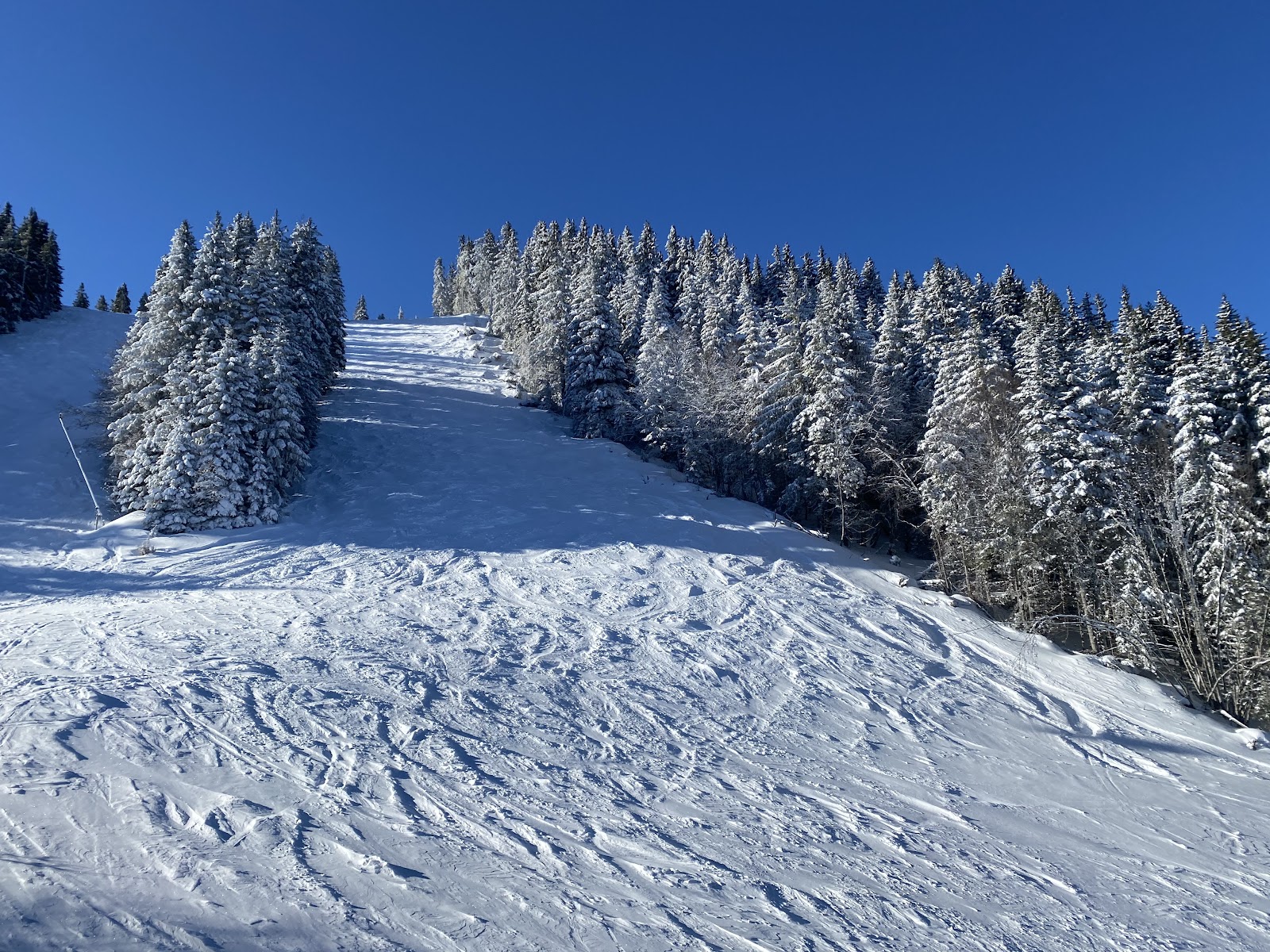 Beginners on a gentle groomed slope at Pamporovo