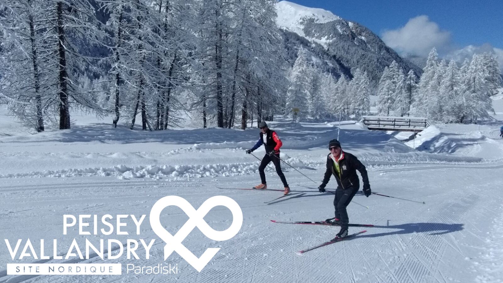 Skiers on a tree lined piste above Plan Peisey