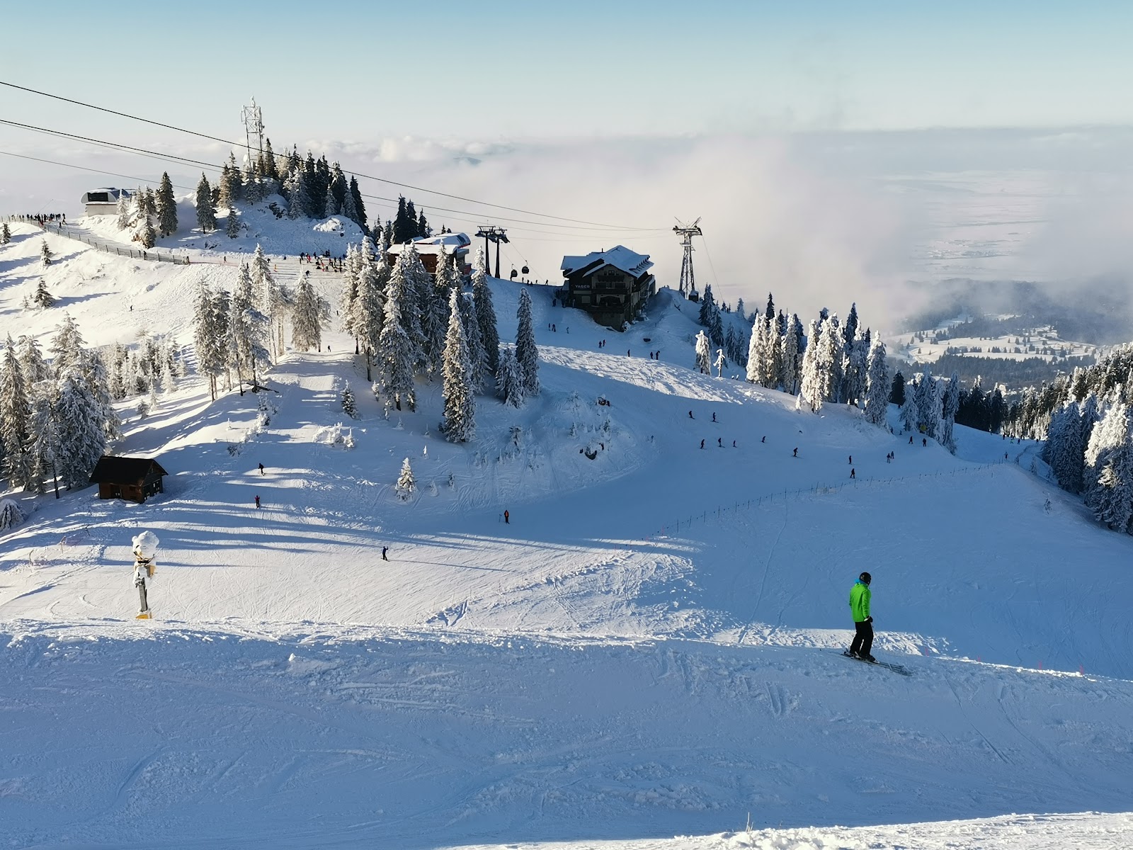 A cable car rising over the forested slopes above the resort