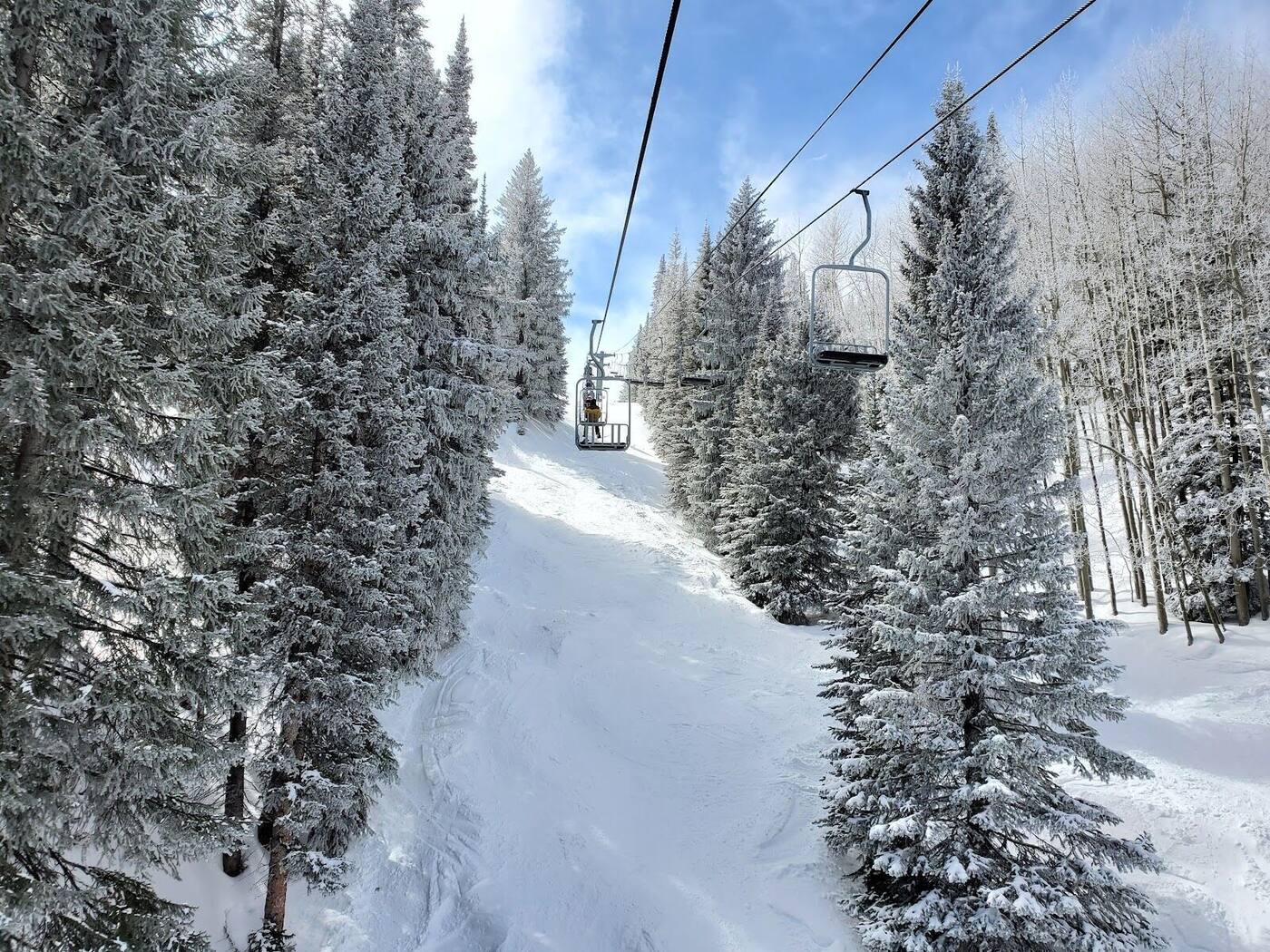 Snow covered aspen glades on the Grand Mesa after a storm