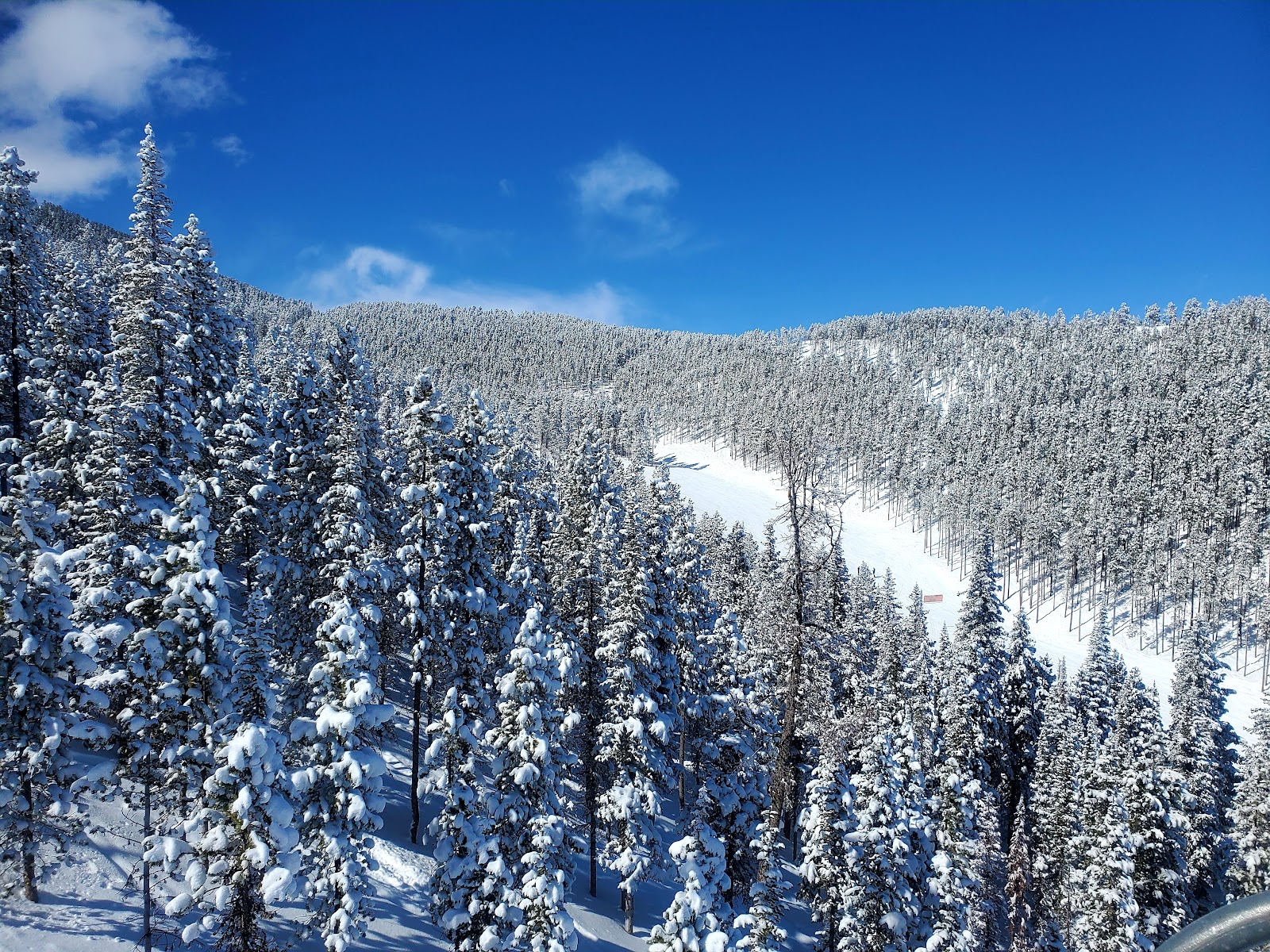 A skier carving fresh snow on a quiet Montana slope
