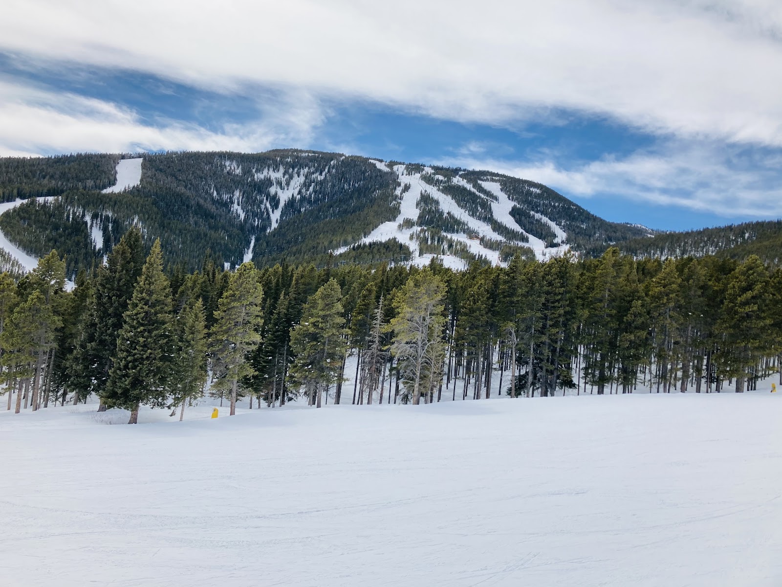 Snow covered forest in the Beartooth Mountains above Red Lodge